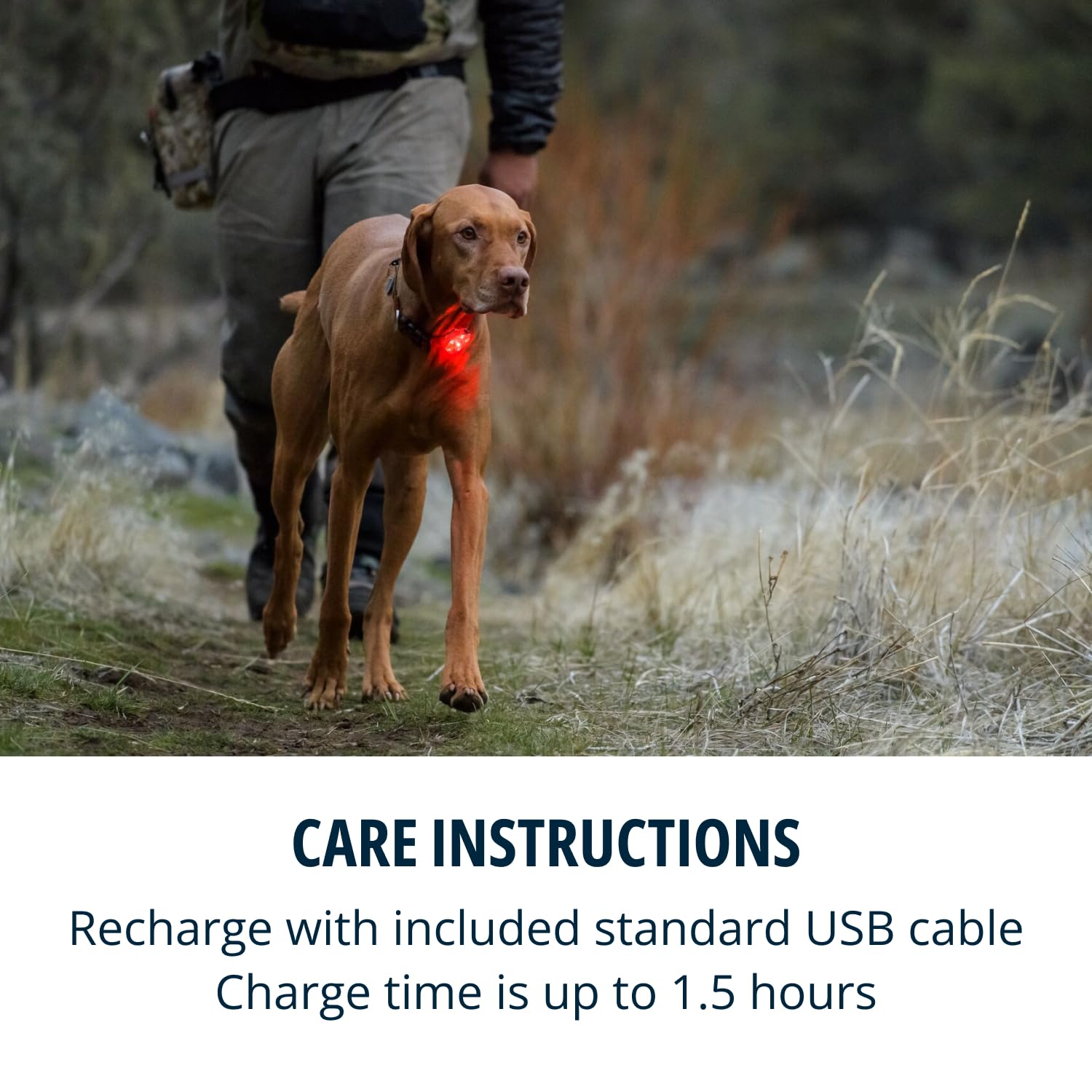 Ruffwear Beacon Safety Light for Dogs - Clear Lake Color, Model 55103-102