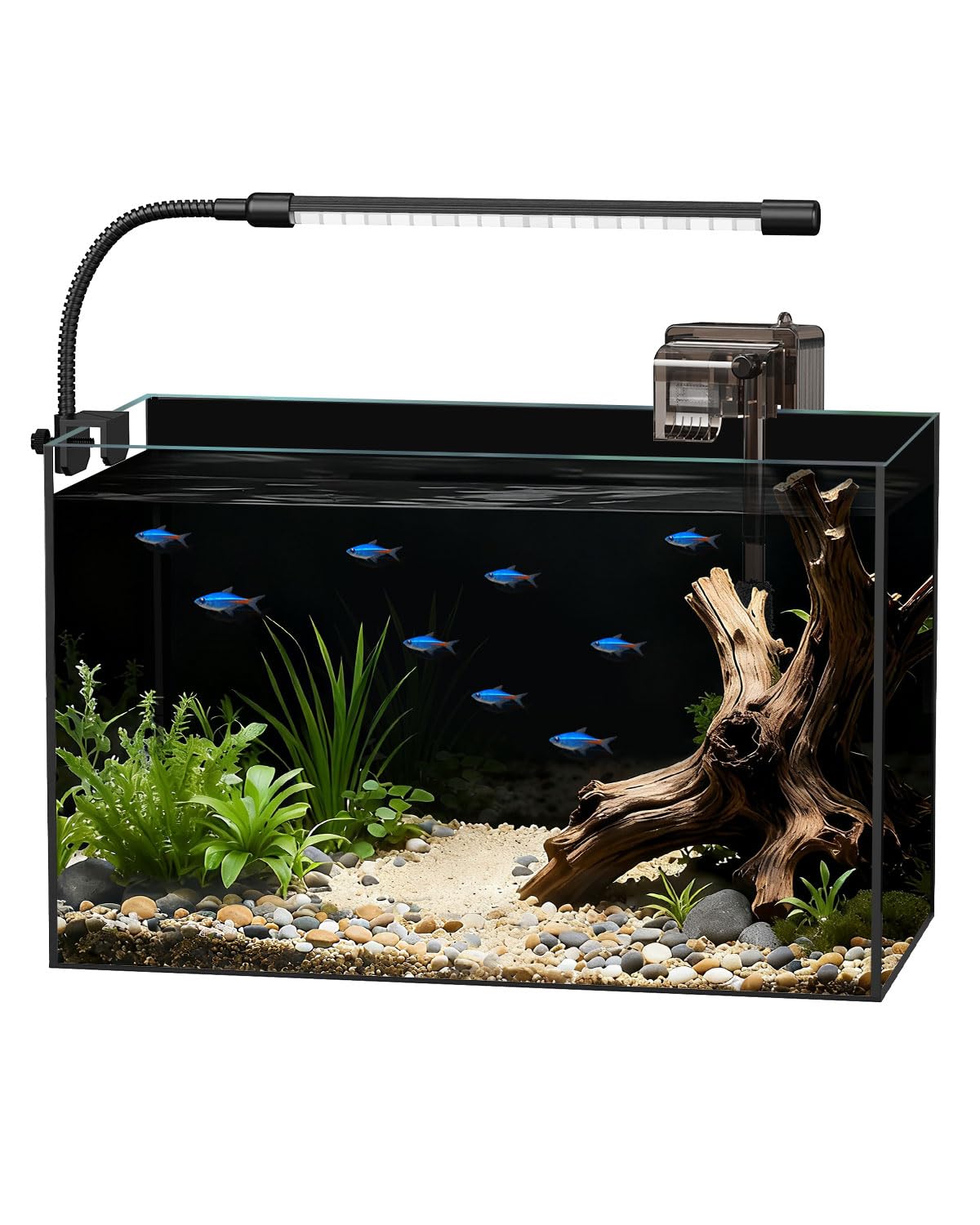 Glass Fish Tank Kit, 5 Gallon Betta Fish Tank Aquarium Starter Kit with Filter, Lights, Lid, for Betta, Goldfish, Small Fish or 