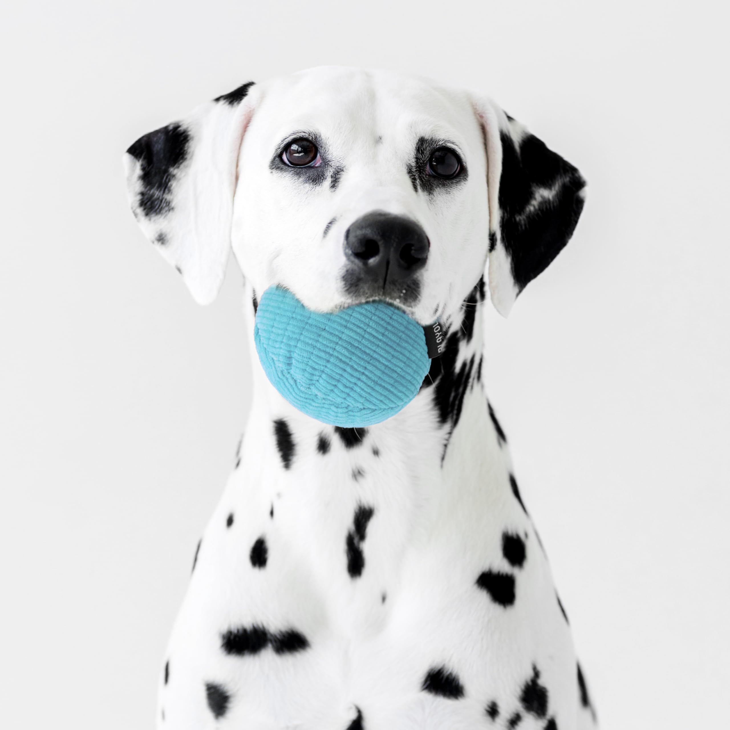 Playology Plush Squeaky Ball Dog Toy- Medium Dog Breeds (15-35 Lbs)- Engaging All-Natural Peanut Butter Scent