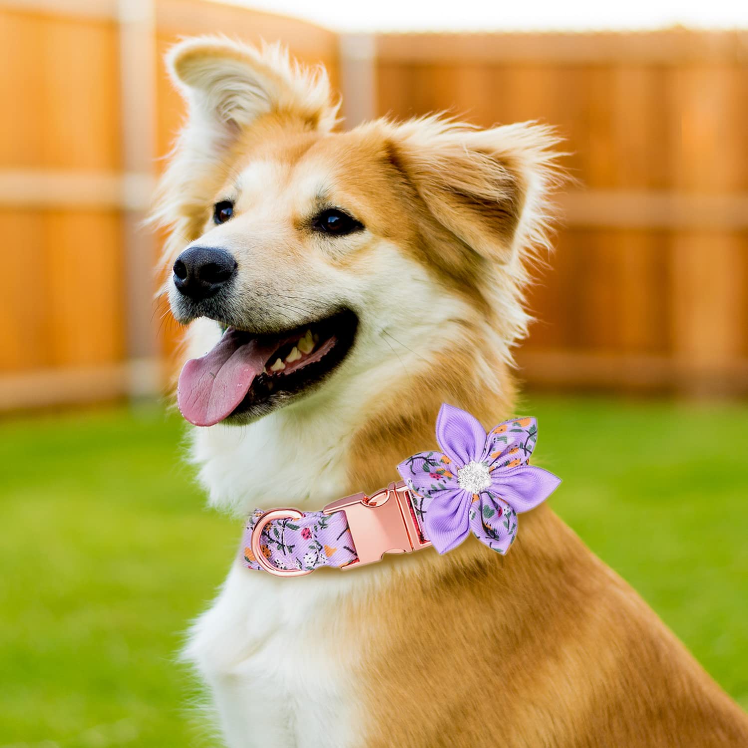 Tdtok Girl Dog Collar With Detachable Flower, Safety Metal Buckle Floral Pattern Soft Comfy Cotton Pet Collars For Small Medium