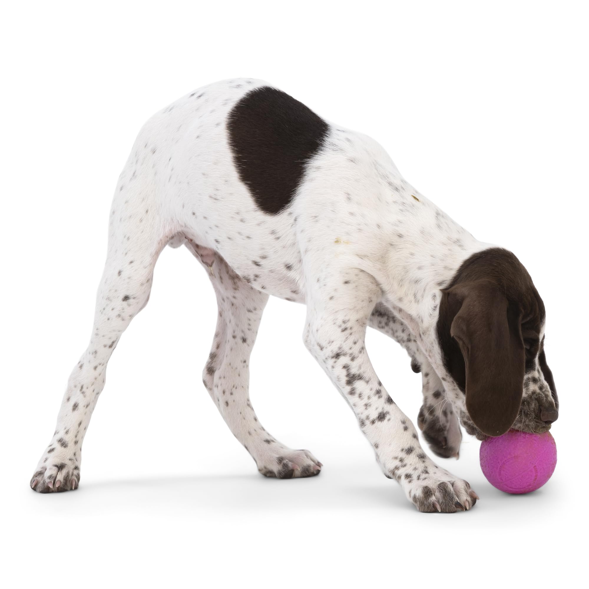 WEST PAW Boundr Ball Dog Fetch Toy – Small Hot Pink/Aqua Blue 2-Pack, Floatable Zogoflex for Fetch, Catch, Chewing, and Play