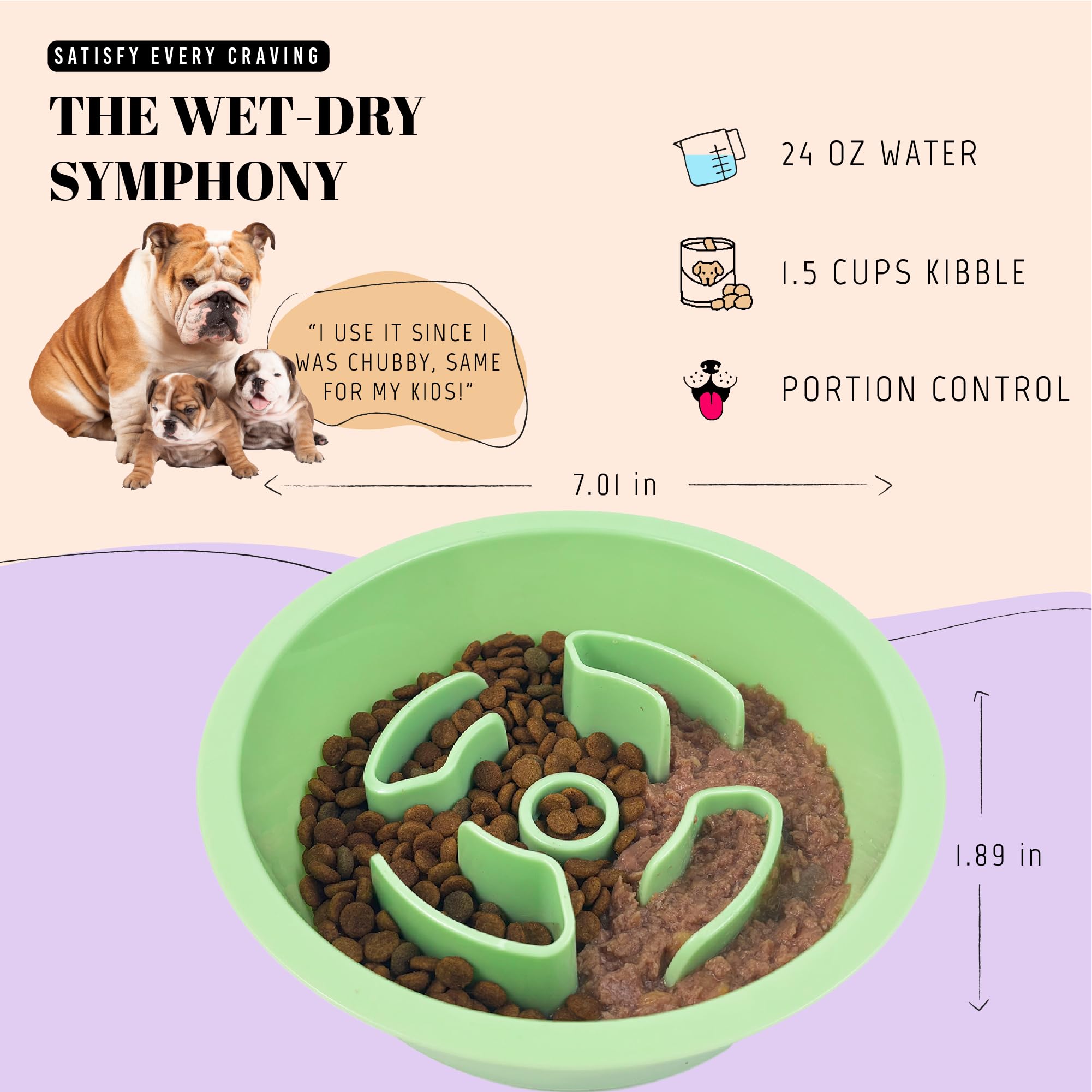 AVERYDAY Slow Feeder Dog Bowls for Medium Breeds Fits Raised Feeding Station, Puzzle Dog Food Bowls to Slow Down Eating, Dogs Fe