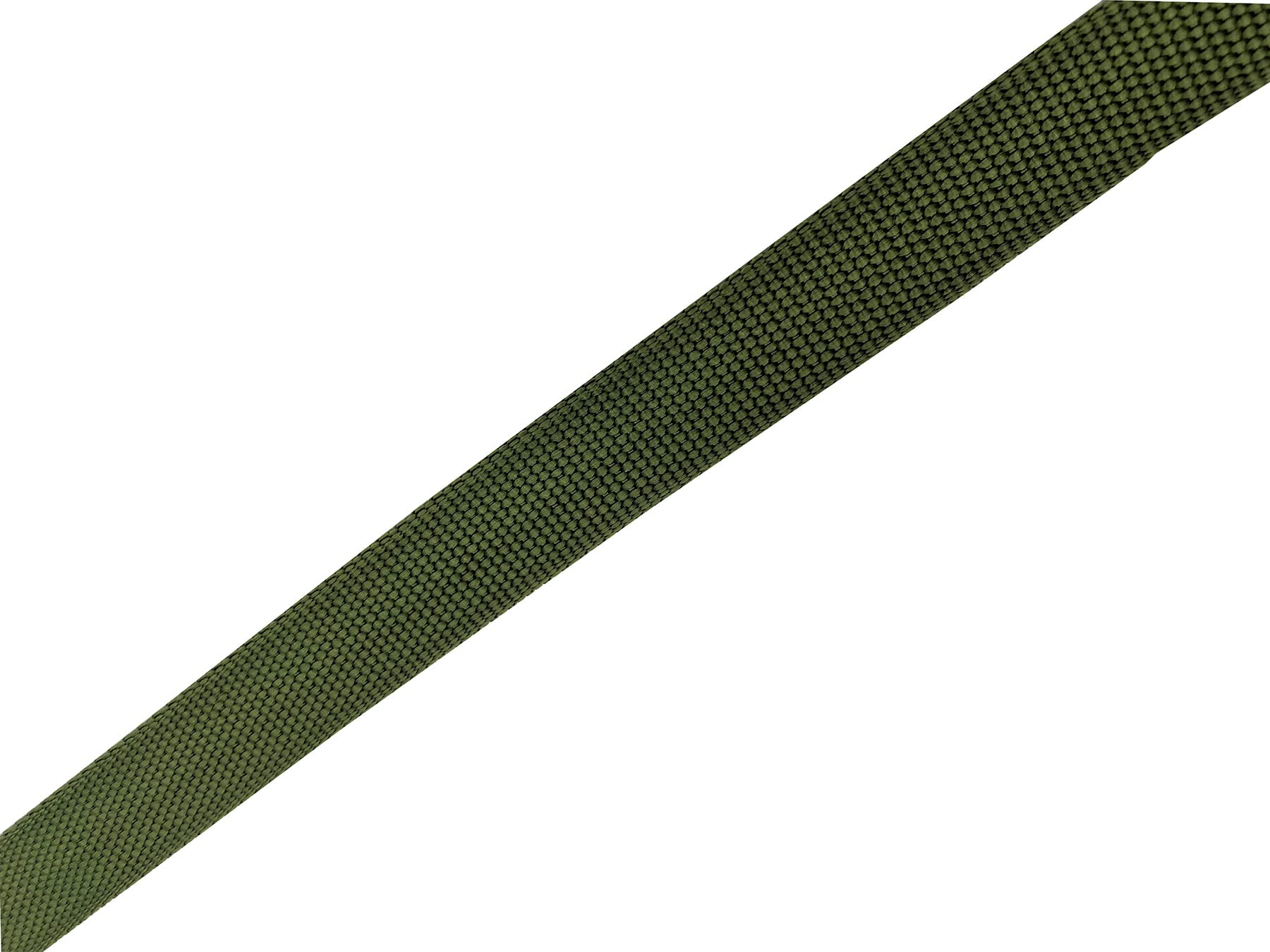 Nylon Dog Leash 12 Feet Long, Walking Training Dog Leashes For Medium Large Dogs(1'' X 12 Ft, Green)