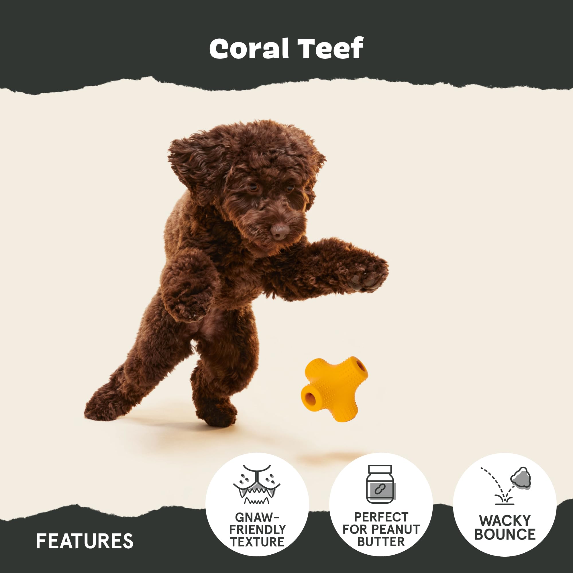 Barkbox Dog Toy for Aggressive Chewers | Coral Teef-Small | Wacky Bounce | Model BARK-208282