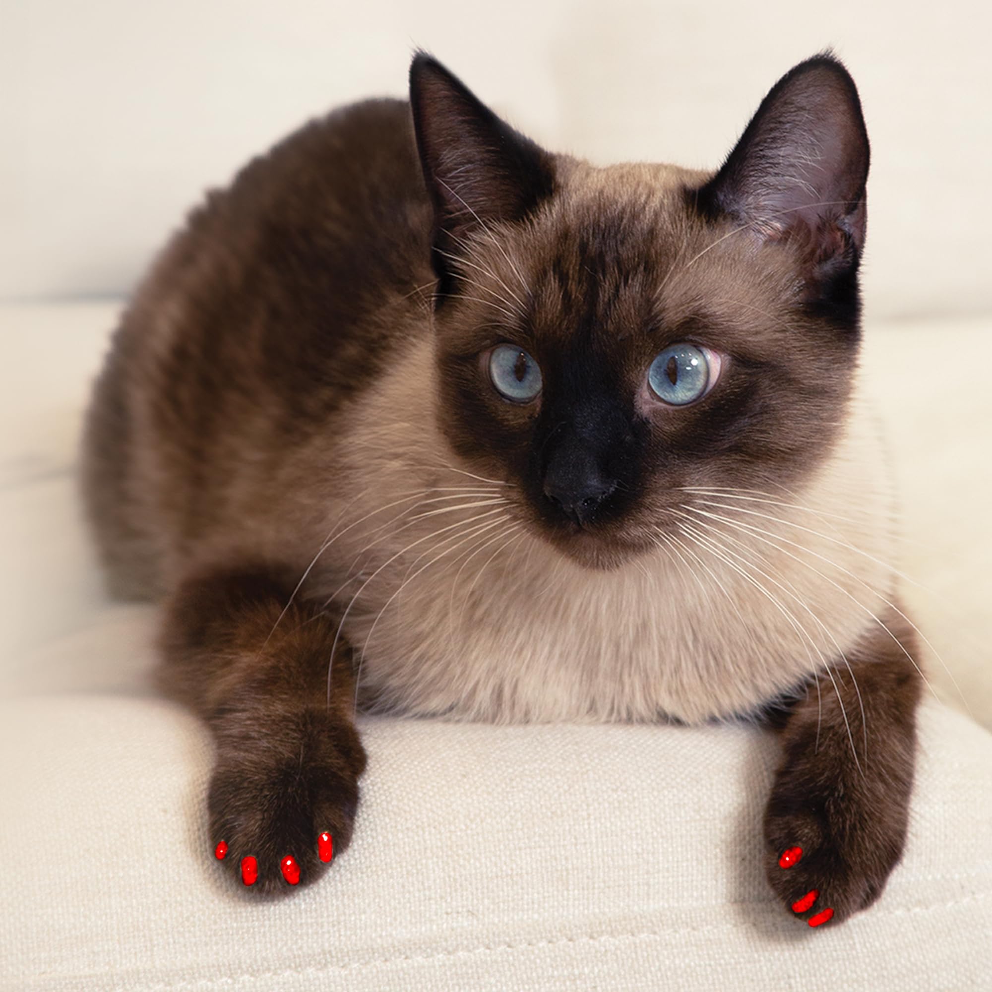 Soft Claws For Cats - Cls (Cleat Lock System), Size Medium, Color Red