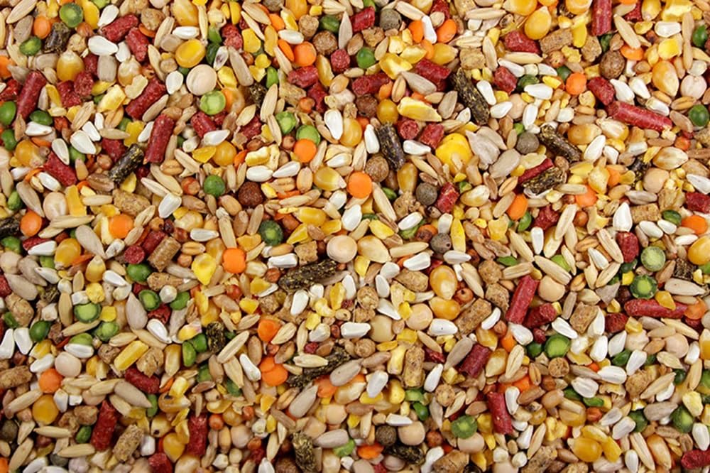 DelightFood Chicken Feed, Whole Ingredient Chicken Treat, Wied Variety of Grains Poultry Feed (20 Pound (Pack of 1), High-Octain