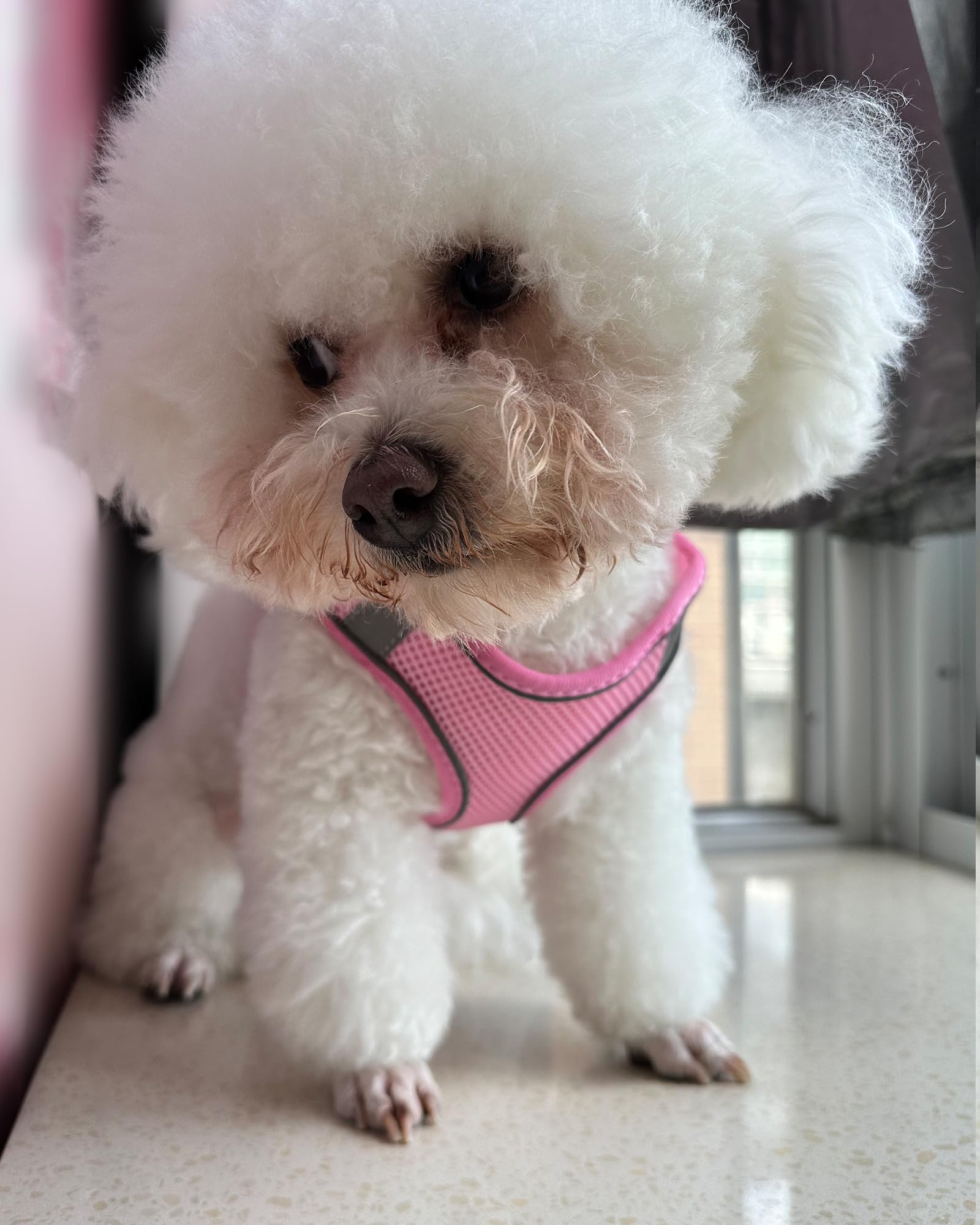Solmoony No Pull Dog Harness - Step In, Mesh, Pink (L) For Small & Medium Dogs