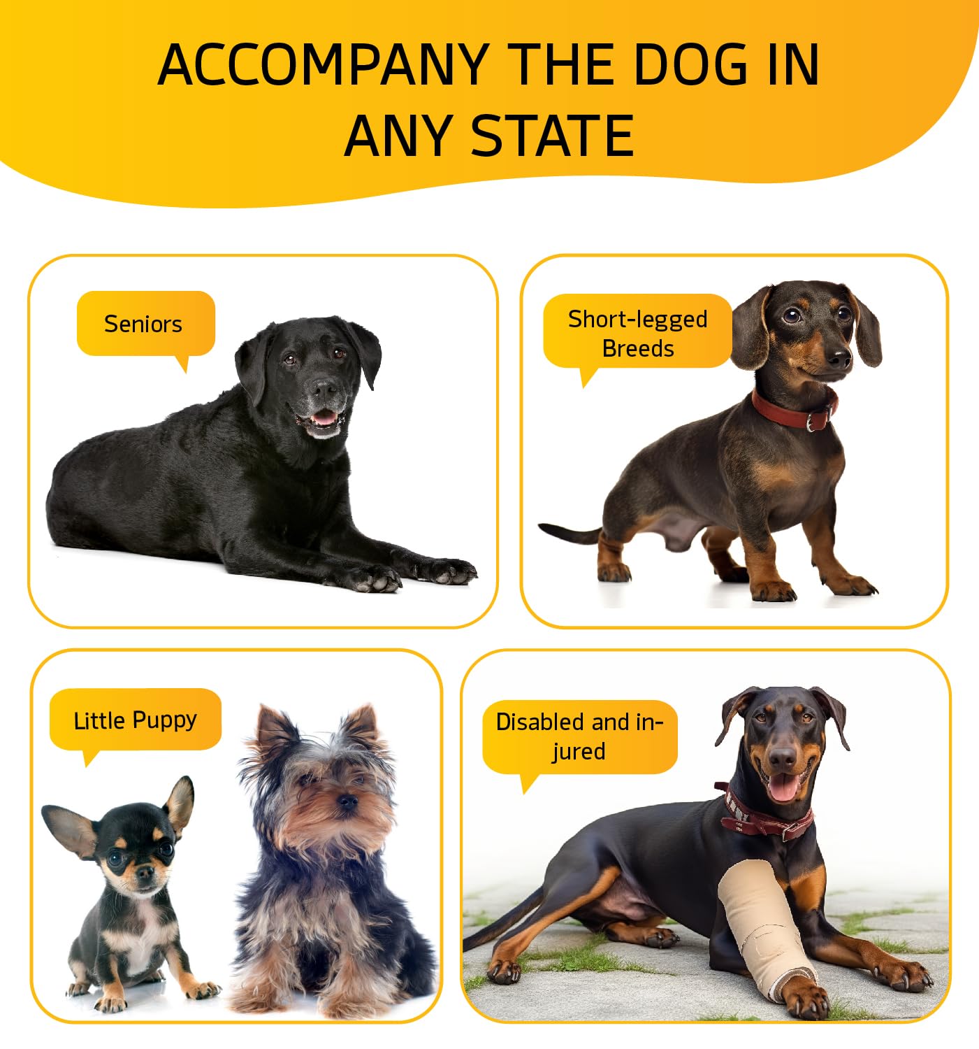Dog Stairs for Small Dog Steps for Bed Ramps Stairs Extra Wide Steps for Bed Foam Stairs for Couch Sofa 35D Strong Support Pet S