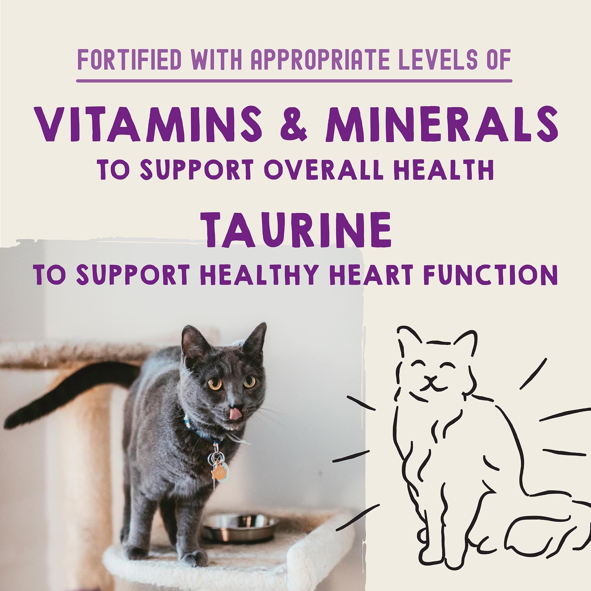 Stella & Chewys Carnivore Cravings Purrfect Pat   - Premium Grain-Free Wet Cat Food - 6 Flavor Variety Pack - High Protein with