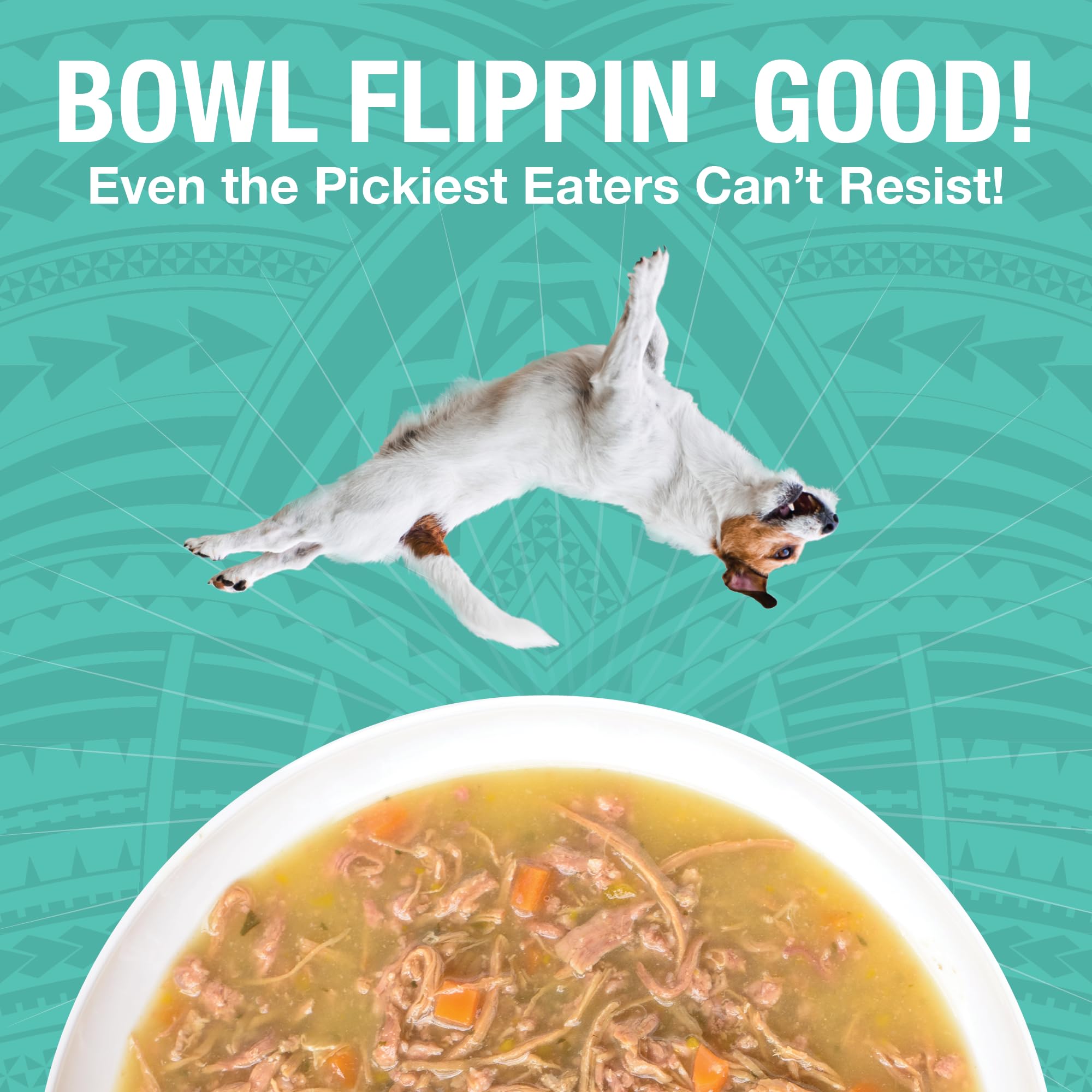 KOHA Pure Shreds Duck Entr  e for Dogs, 12.5oz Cans (Pack of 12)