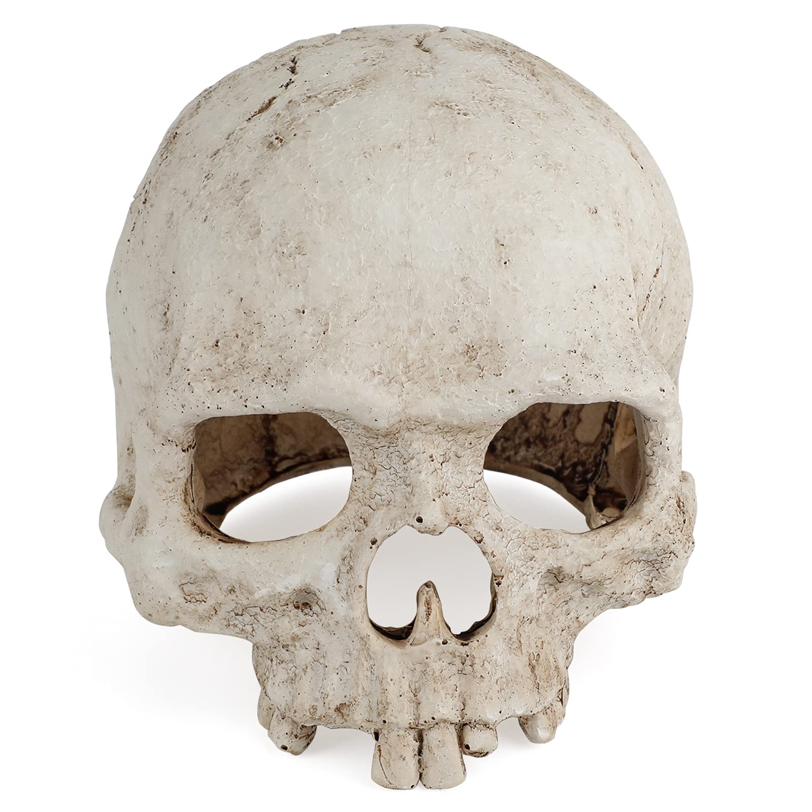 Uniclife Aquarium Skull Reptile House Decor Resin Head Skeleton Ornament For Tank Landscape Decorative Hideout Cave Shelter For Small Fish Shrimp Snail Gecko Spider Lizard In 5-20 Gallon Fish Tank