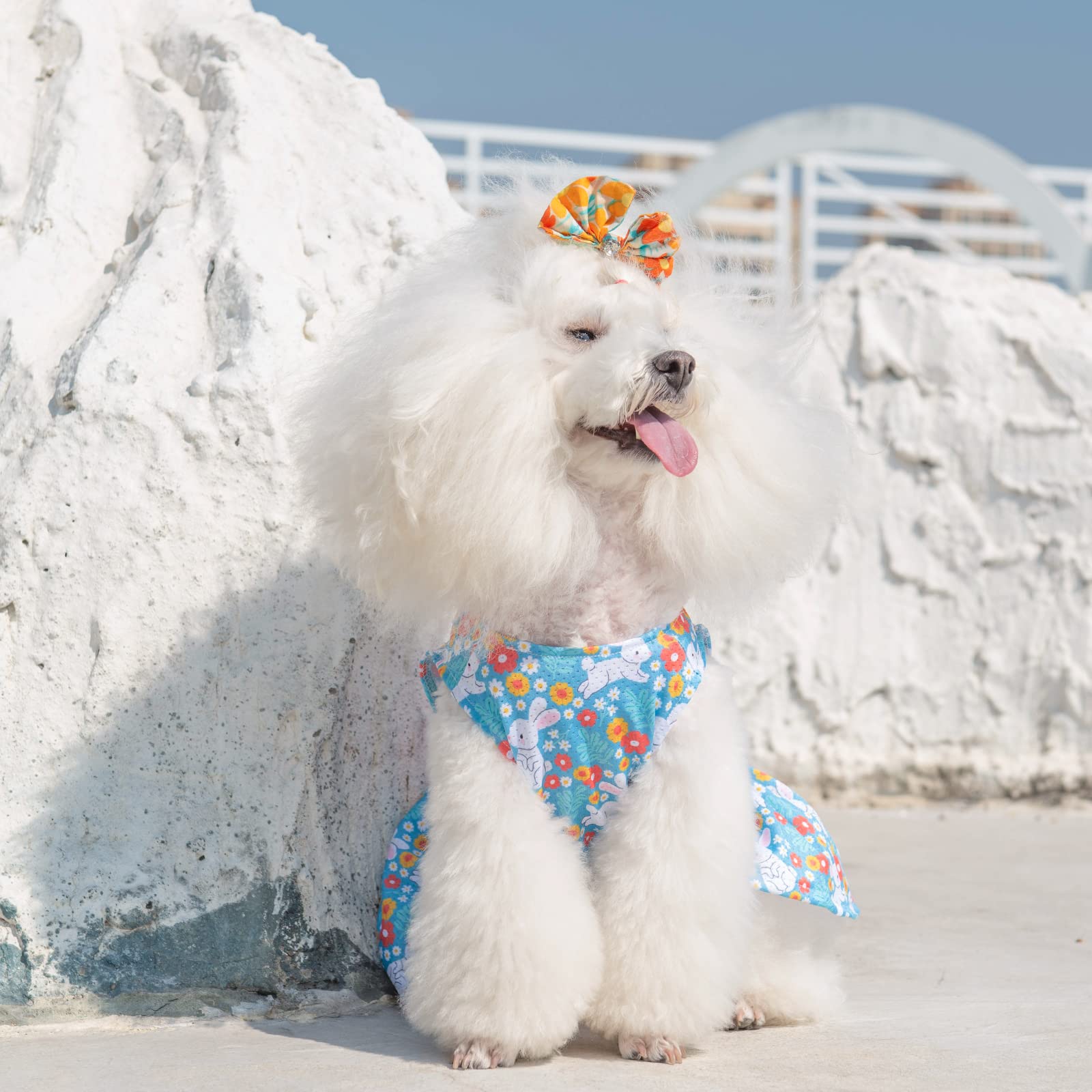 Cutebone Dog Easter Dress Puppy Sundress Pet Outfit Summer Fashion For Small Dogs Girl Cat Clothes Bf08Xs