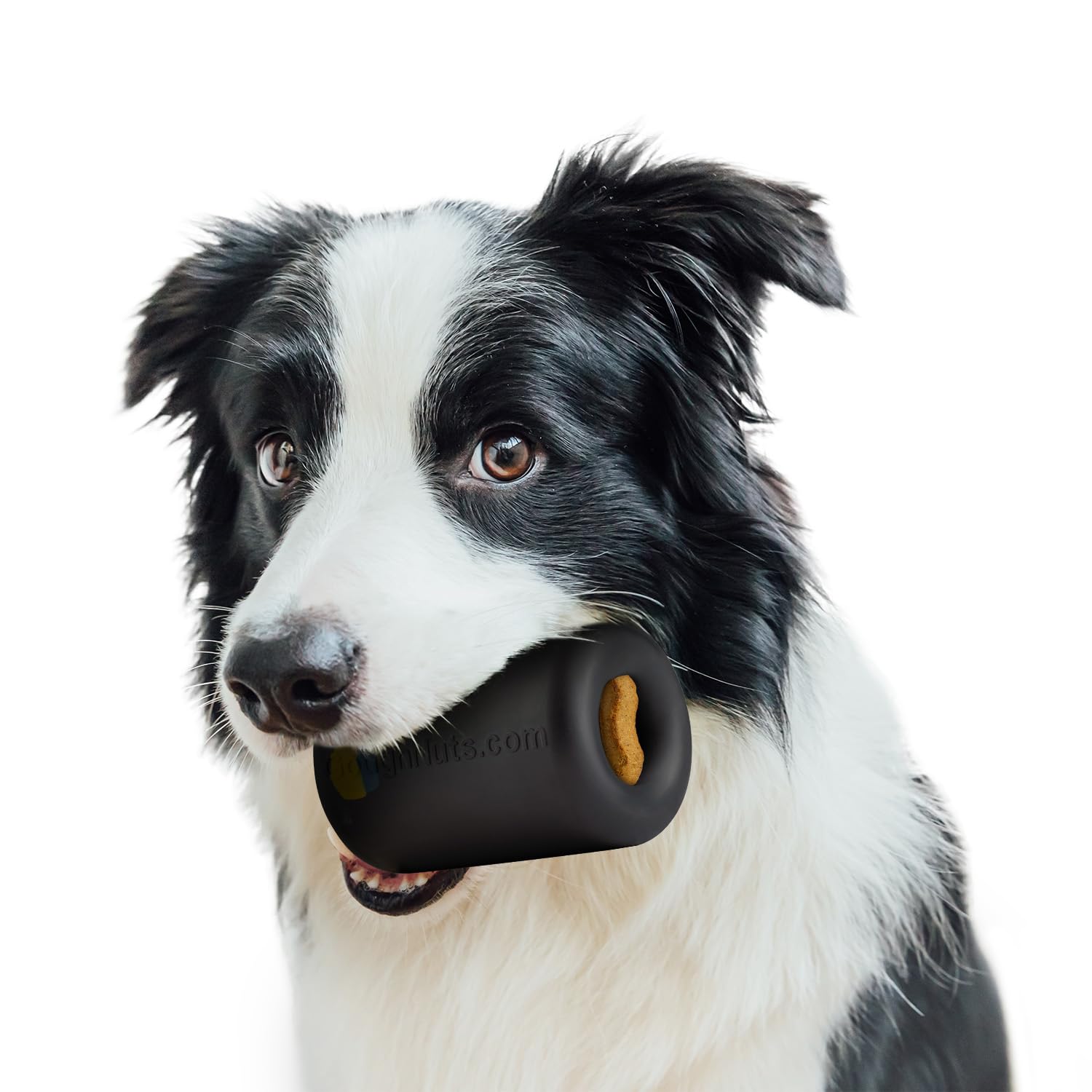 Goughnuts Work To Eat Dog Treat Toy - Virtually Indestructible Rubber Treat Dispensing Dog Toys For Aggressive Chewers, Mental E
