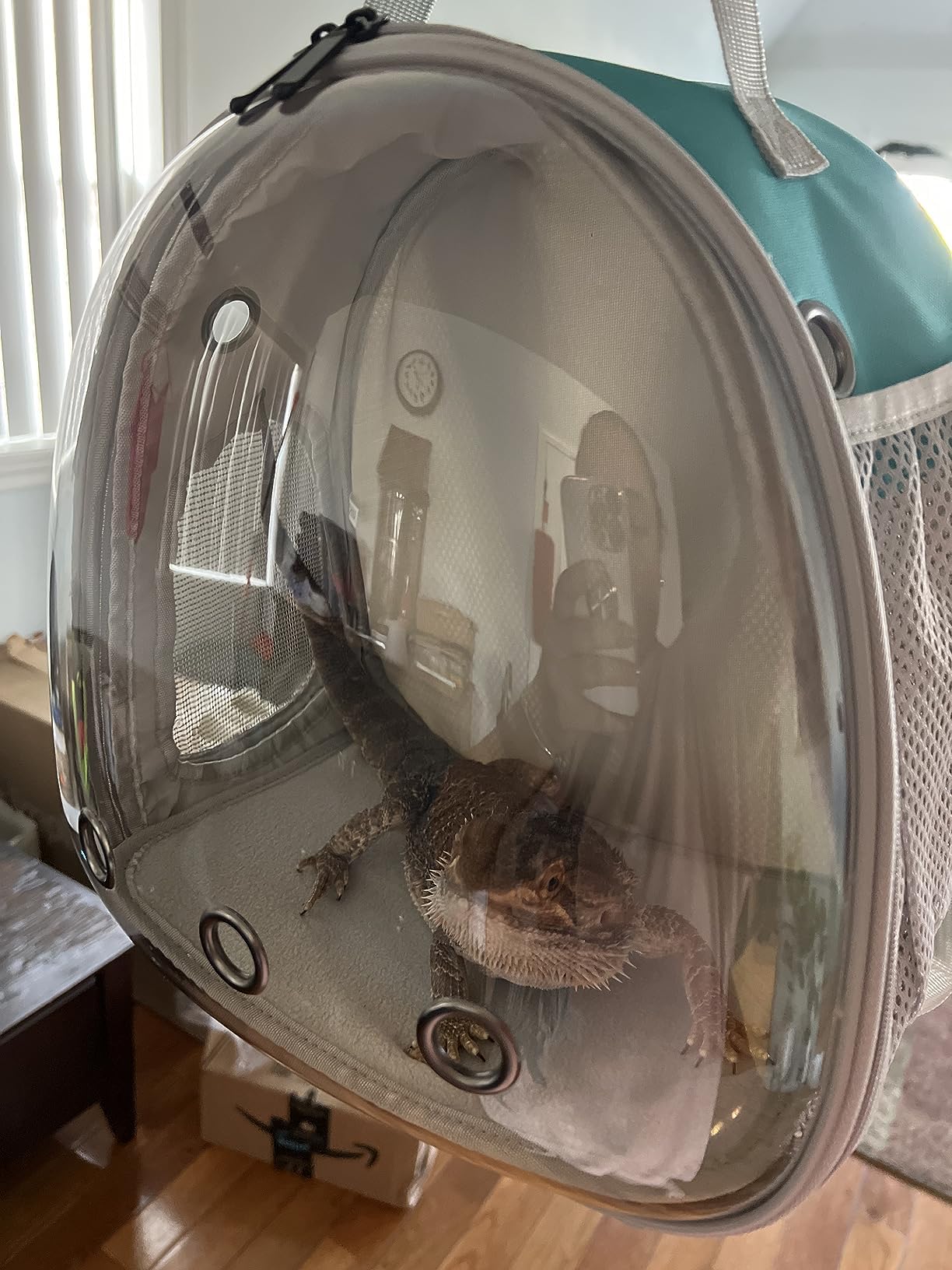 Portable Travel Small Animal Backpack Carrier Pet Backpack Guinea Pig Bird Bearded Dragon Kitten Small Dogs Turtle Rabbit Cage H