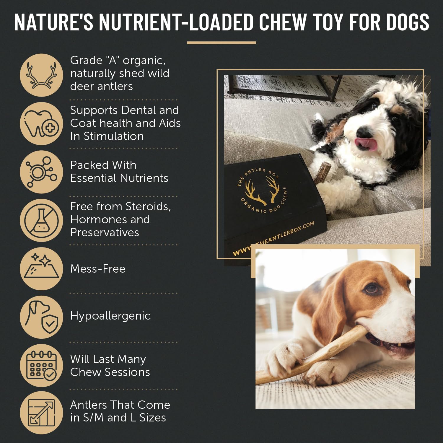 The Antler Box Premium Deer Antler Dog Chews (1 Lb Bulk Pack) (Large (3 To 4 Antlers/Lb))