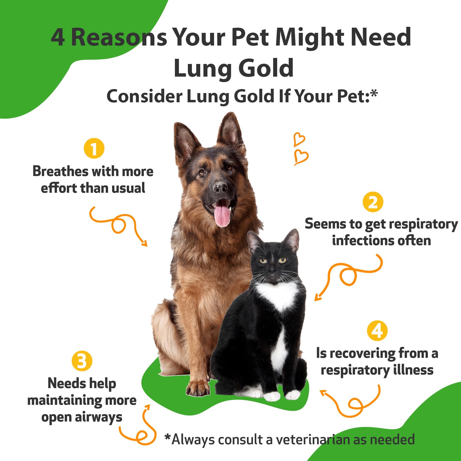 Pet Wellbeing Lung Gold for Dogs & Cats - Vet-Formulated - Lung & Respiratory Immune Support, Open Airways, Easy Breathing - Nat