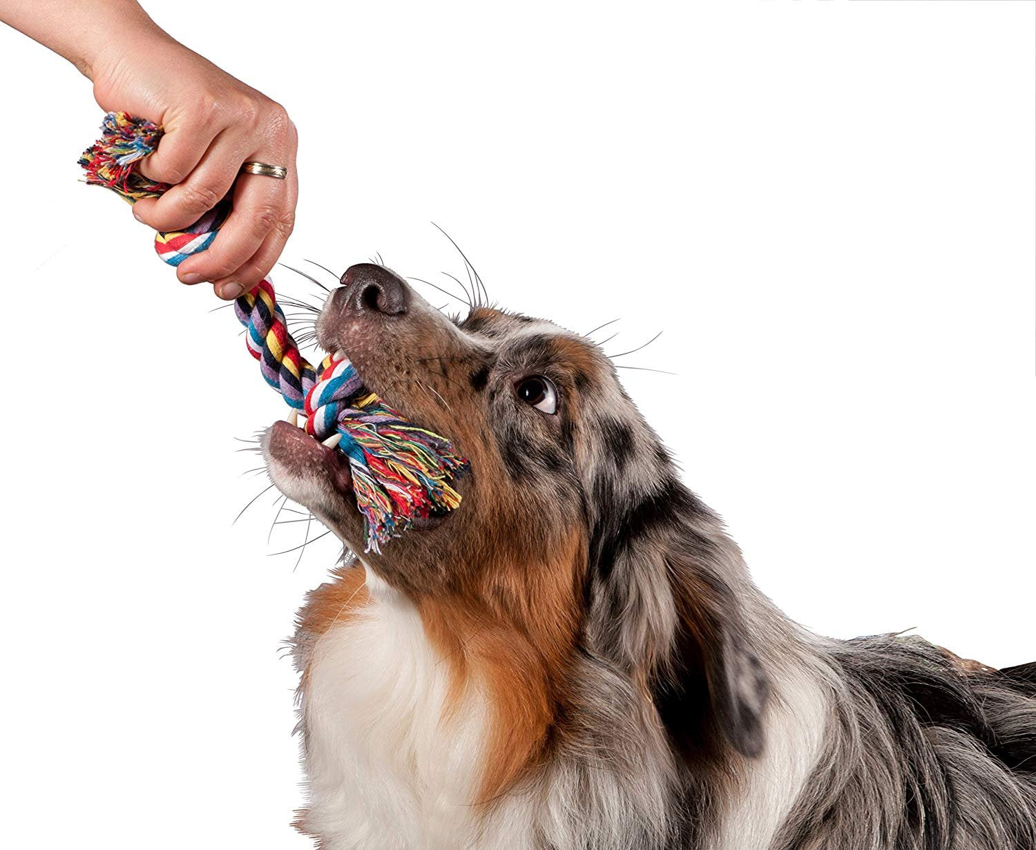 The Dds Store Best Knot Rope Bone Dog Toy: Extra Durable Tough Dog Chew Toy For Interactive TugOfWar, Toss, Fetch GamesPuppy