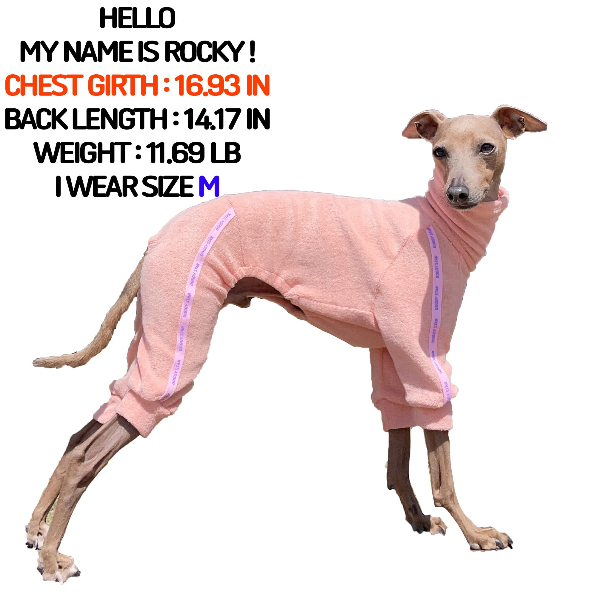 D Doggy Star Italian Greyhound Clothes Stretchy Towel Sports Onesie Outfit Whippet For Dog Coat (M,Twl Apricot)
