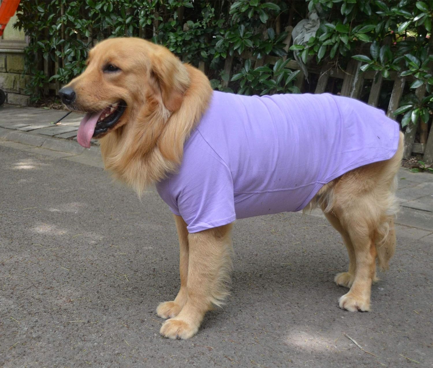 Lovelonglong Pet Clothing Dog Costumes Basic Blank T-Shirt Tee Shirts For Medium Large Dogs Violet Xxl+