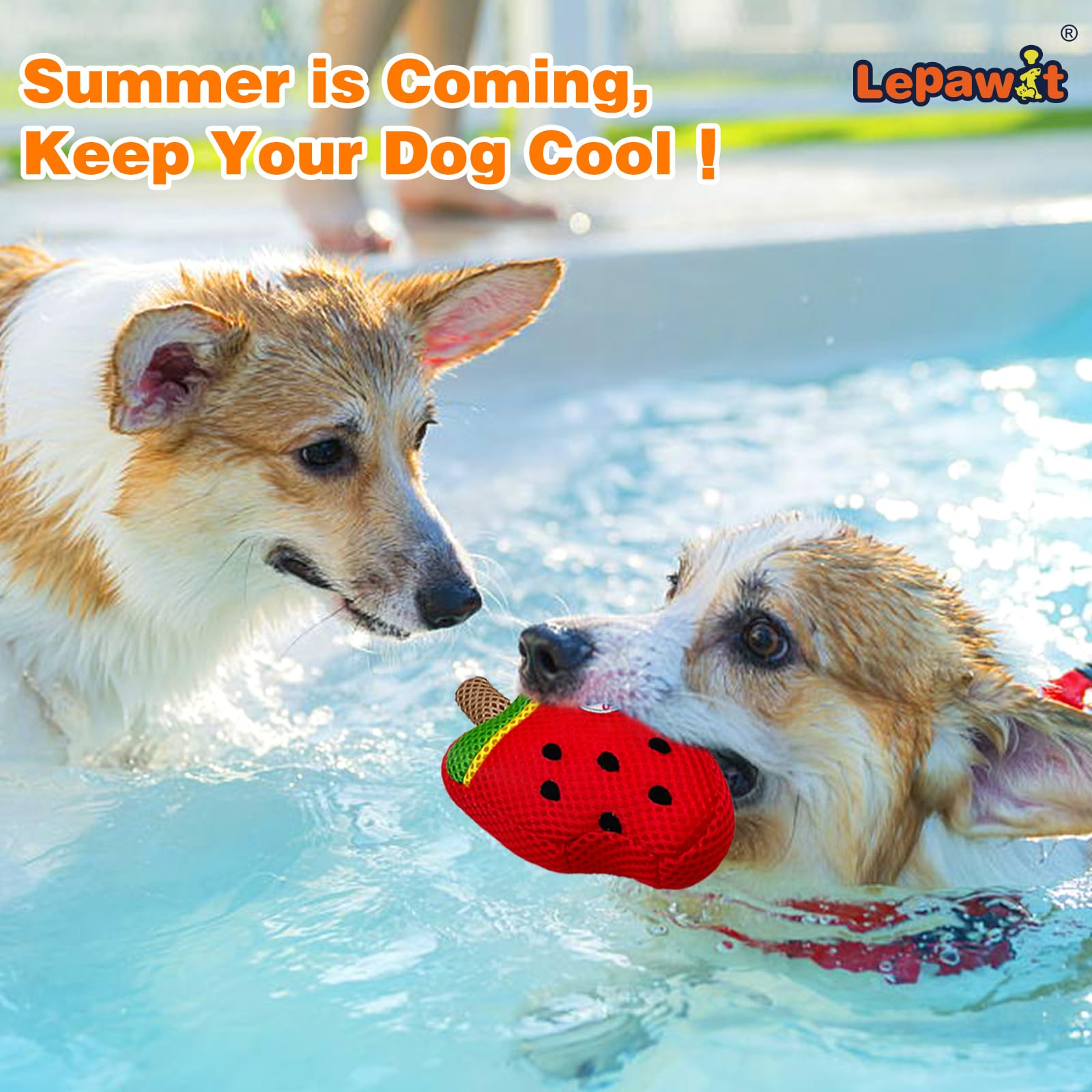 Lepawit Squeaky Dog Toys, Floating Dog Toys With Mesh For Cleaning Teeth, Watermelon Ice Cream Dog Gifts For Small And Medium Do