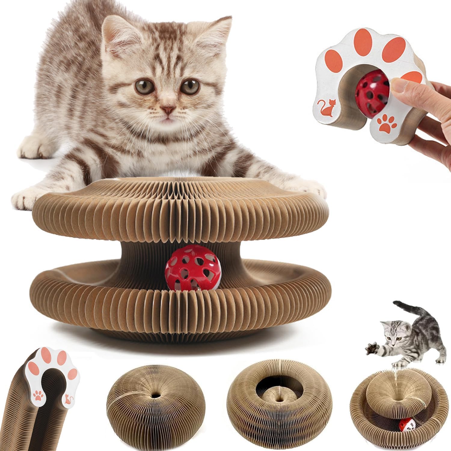 Kitty Curlz, Kitty Curlz Cat Toy - Magic Organ Cat Scratching Board, Snufflepaw Accordion For Cats, Interactive Scratch Pad, Fol