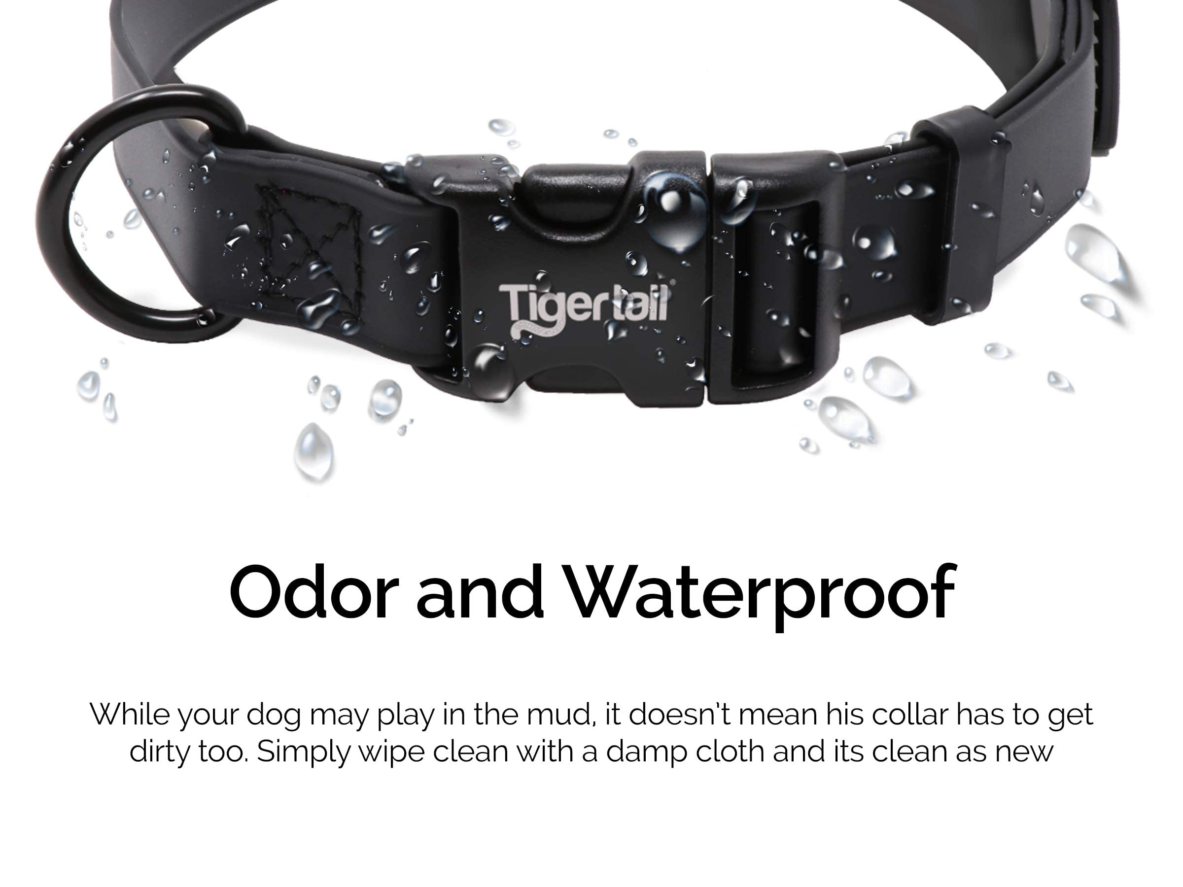 Tiger Tail Urban Nomad Dog Collar - Waterproof, Durable, Odor Proof, Medium, Black, Premium Coated Nylon
