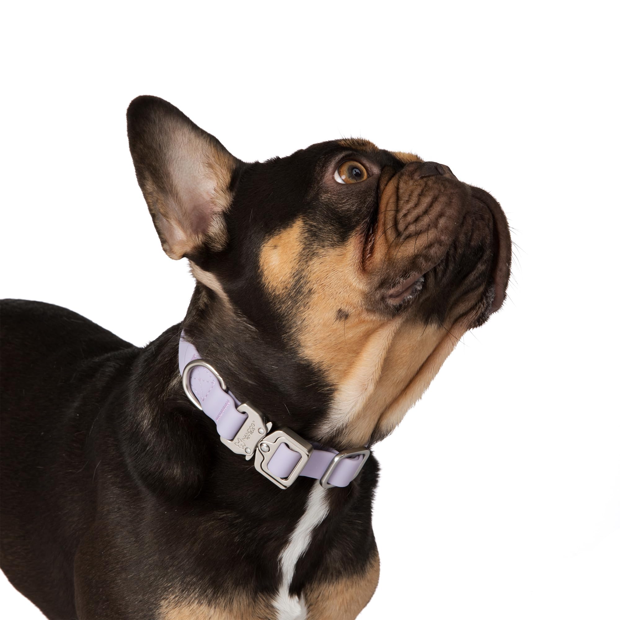 Nandog The Signature Collection Waterproof Poly-Flex Sport Dog Collar In Large, Purple - Durable & Adjustable Design - Comfortab