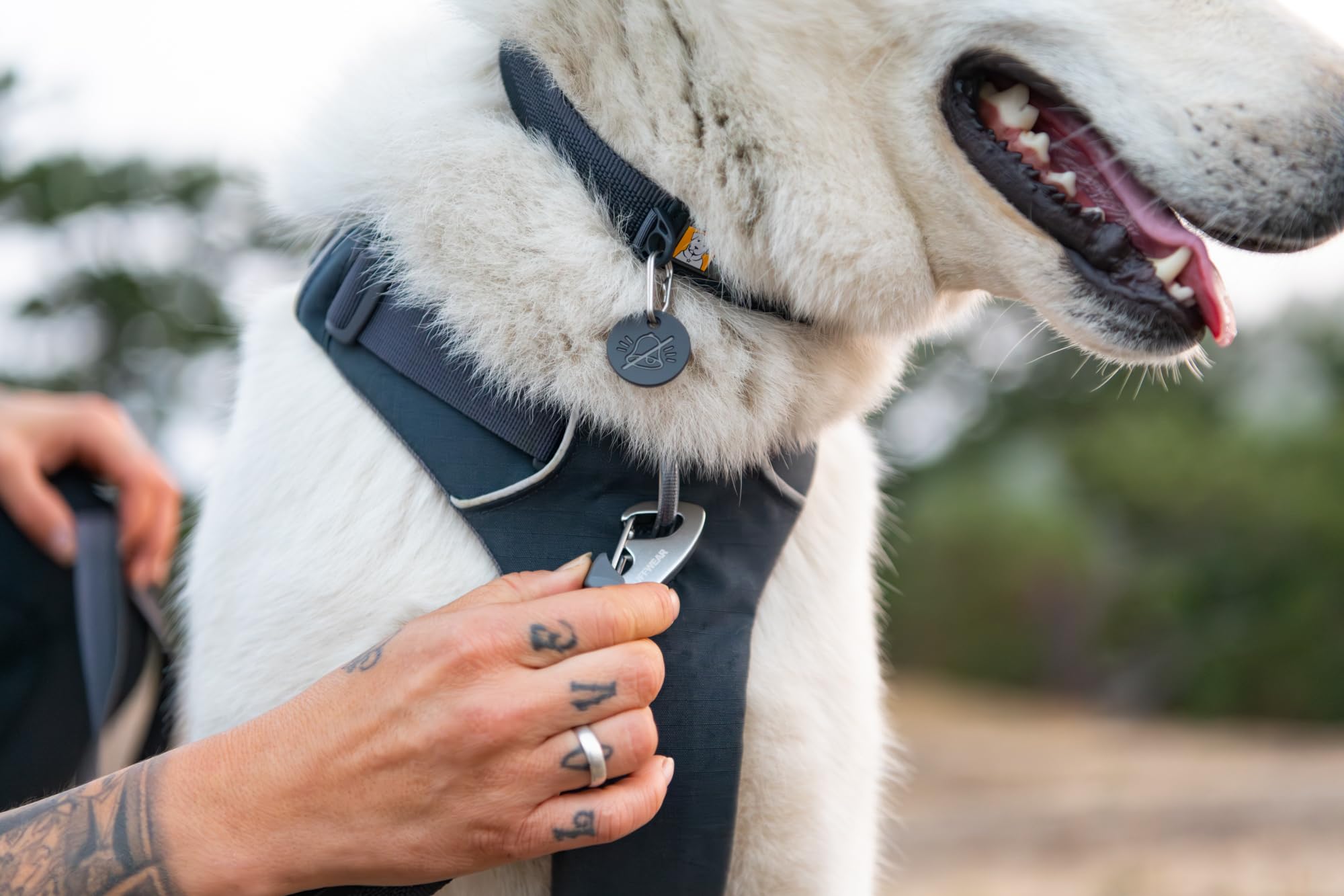 Ruffwear, Front Range Dog Collar, Durable and Comfortable Collar for Everyday Use, Red Canyon, 14-20
