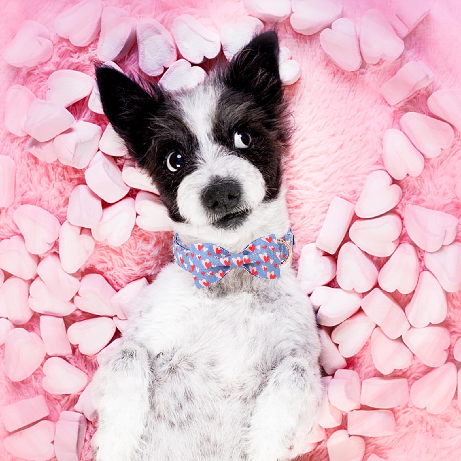 Unique Style Paws Valentine'S Dog Collar With Bow Tie Red Blue Pink Heart Love Puppy Collar Style For Small Medium Large Boys Gi