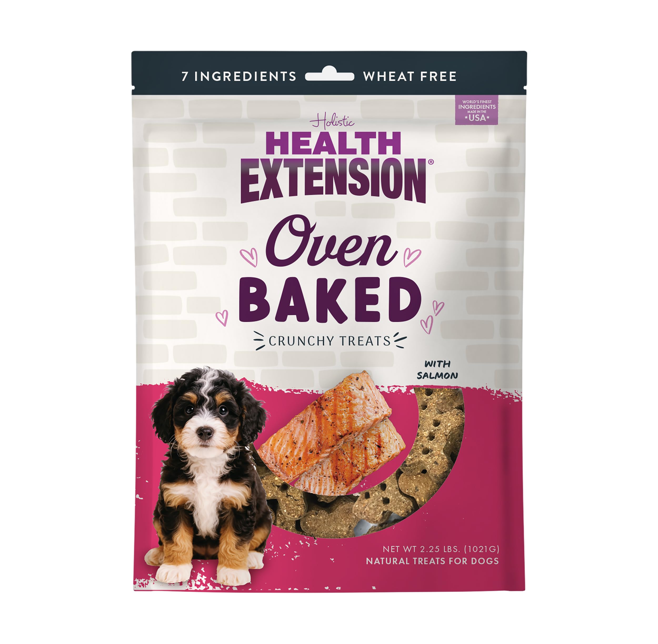 Health Extension Oven-Baked Dog Treats, 2.25lb (1.02kg), Salmon & Kale Recipe - Gluten & Grain-Free, Superfood-Infused, Crunchy