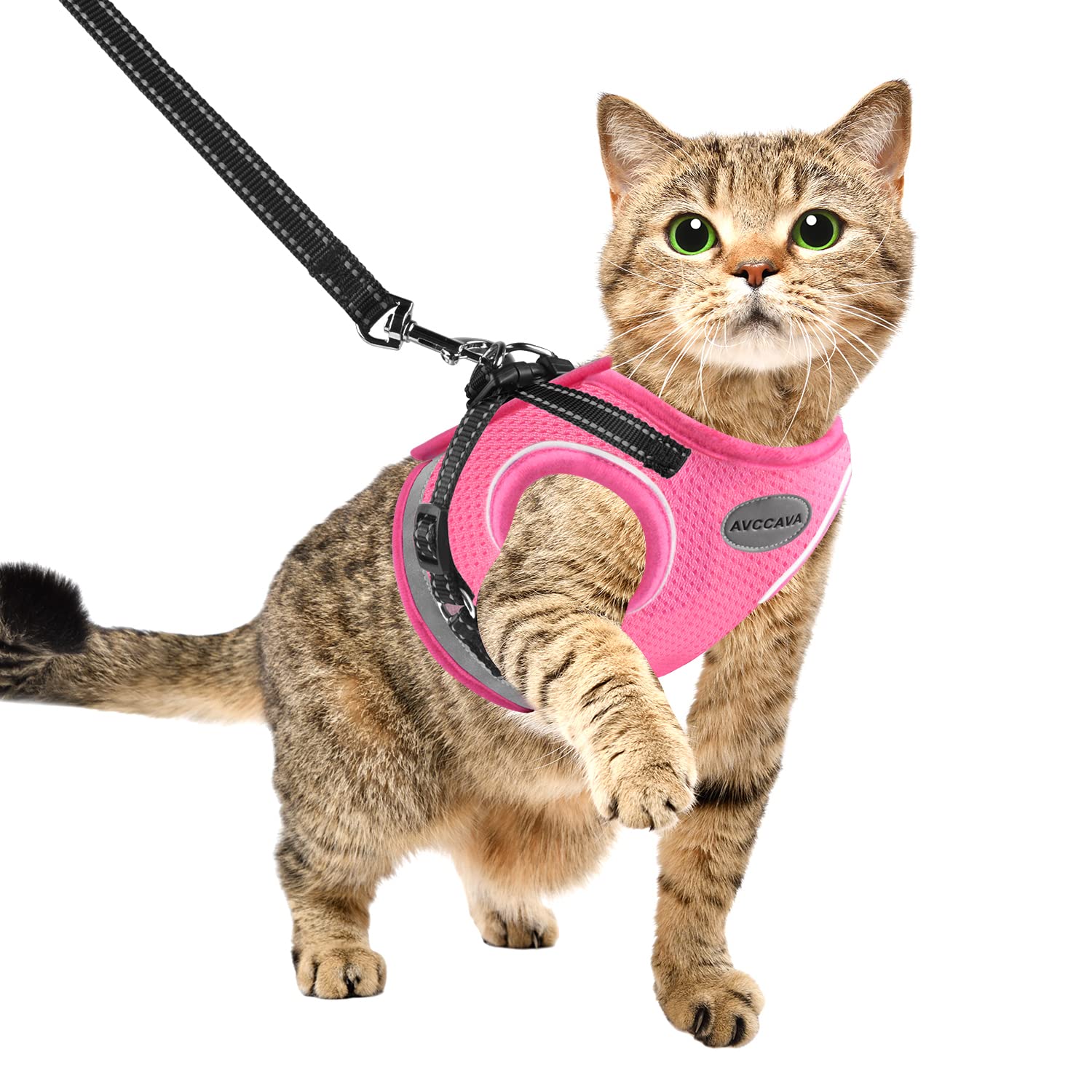 Cat Harness and Leash for Walking, Kitten Escape Proof Harnesses, Adjustable Reflective Puppy Harness with Leashes Set, Easy Adj