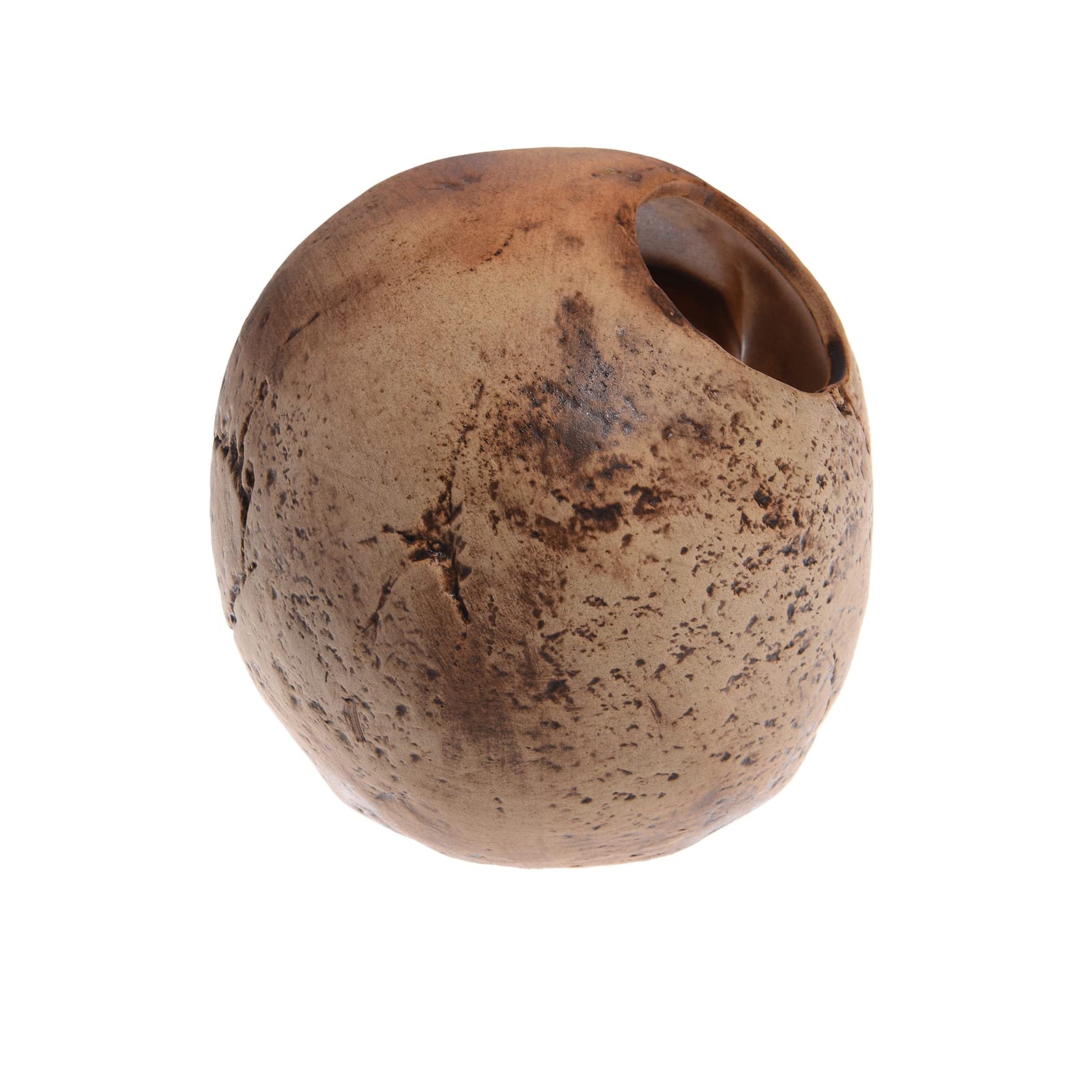 Alegi Aquarium Decoration Hideaway Rock Cave For Betta Shrimp Cichlid Hiding Breeding Spawning (Ceramic Skull)