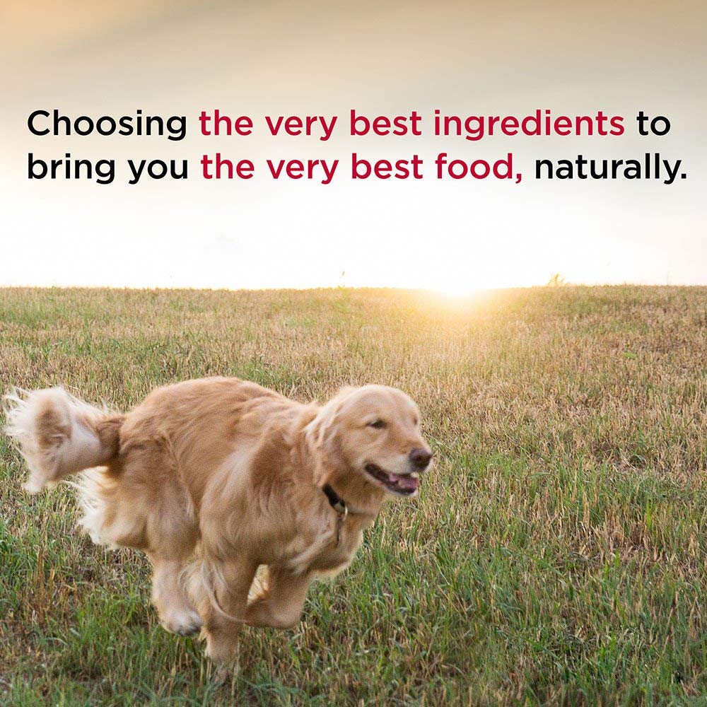 Diamond Naturals Chicken Dinner Can Dog 12/13.2oz