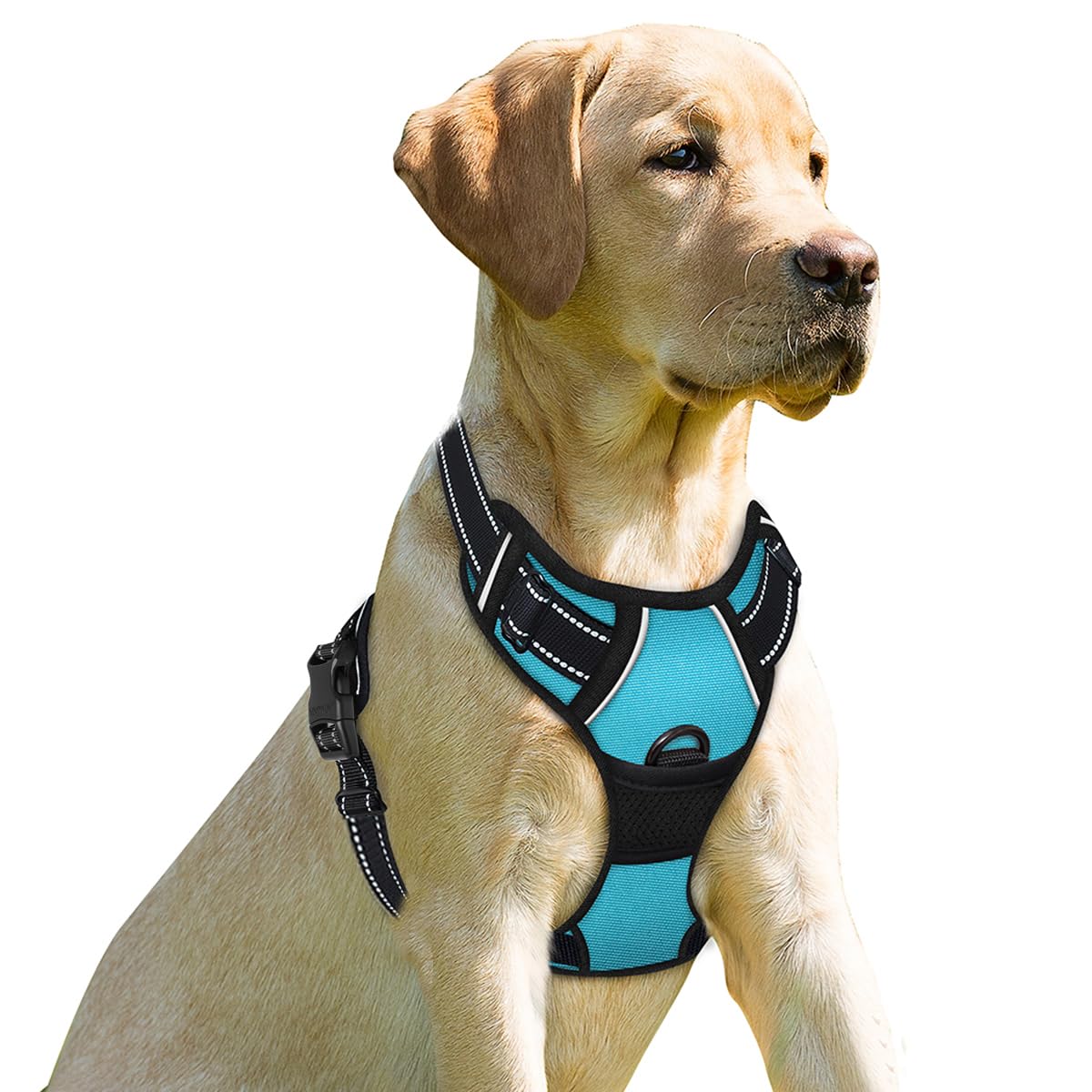 BARKBAY No Pull Dog Harness Front Clip Heavy Duty Reflective Easy Control Handle for Large Dog Walking(Blue,XS)