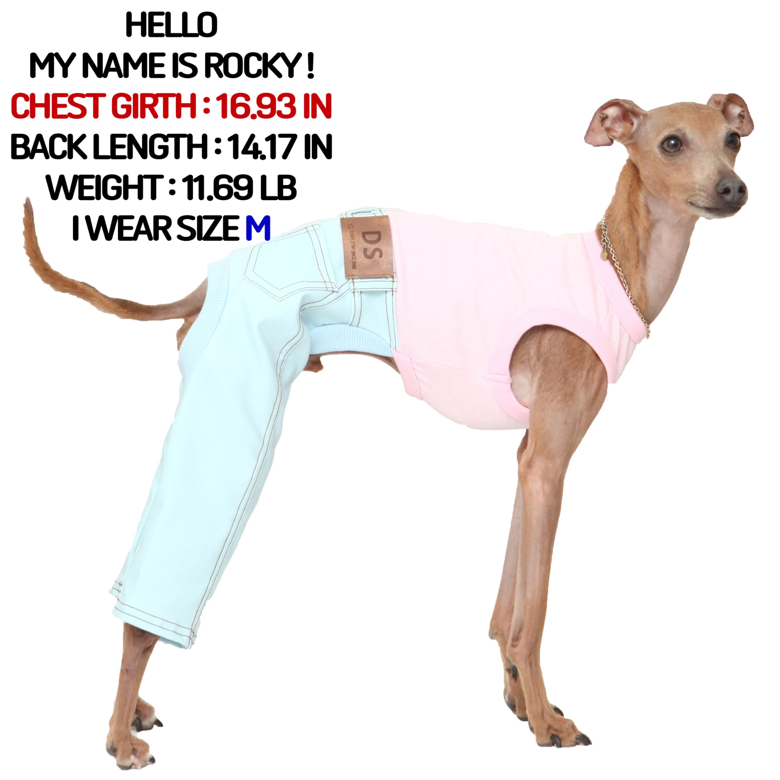 D Doggy Star Italian Greyhound Clothes Sleeveless Jeans Onesie Outfit Whippet For Dog Coat (3Xl,Sky Blue Jean)