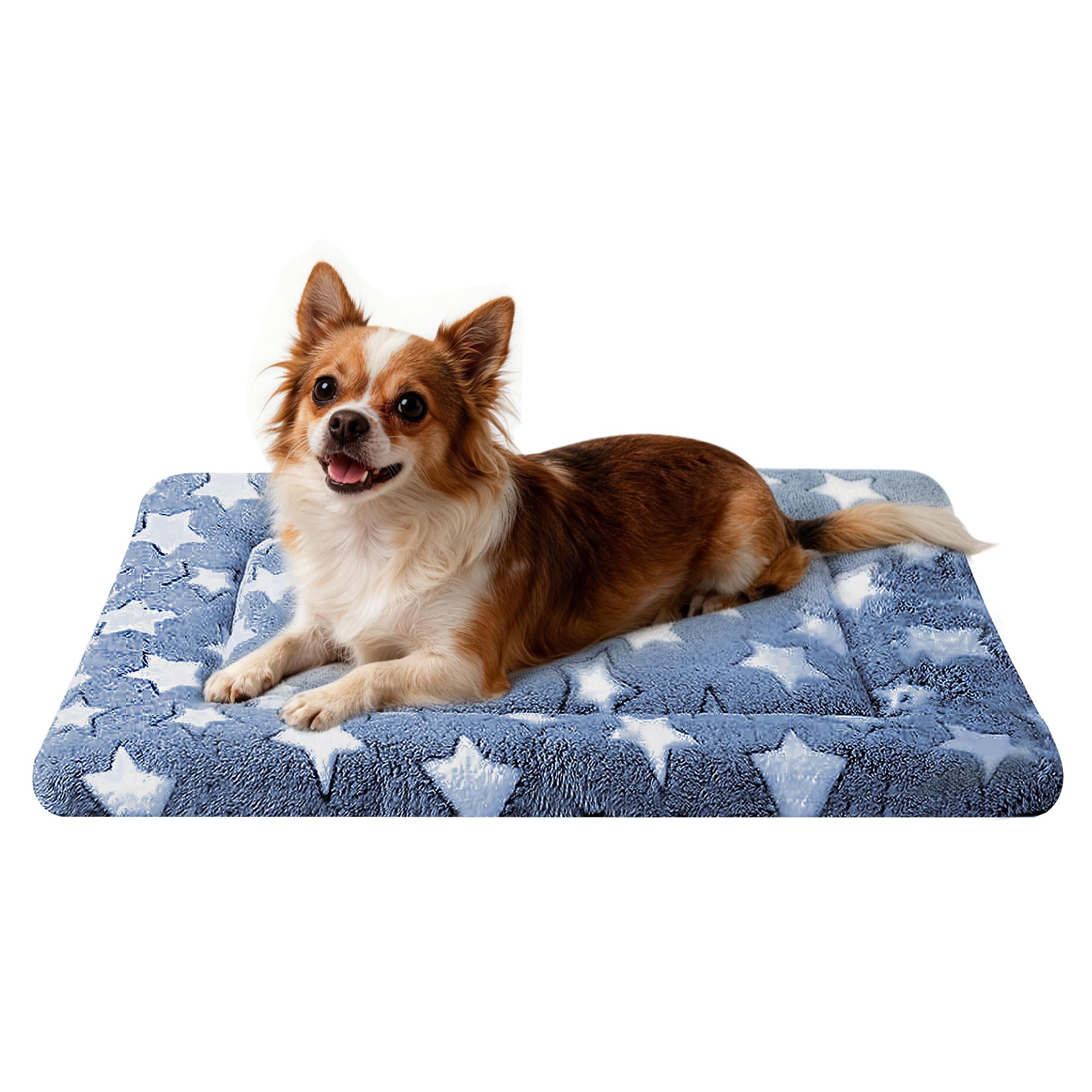 Dog Bed Mat, Reversible Crate Pads for Small/Medium/Large Dogs & Cats Sleeping, Portable & Soft, Dog Beds Crate Pad M(30*20*1.5)