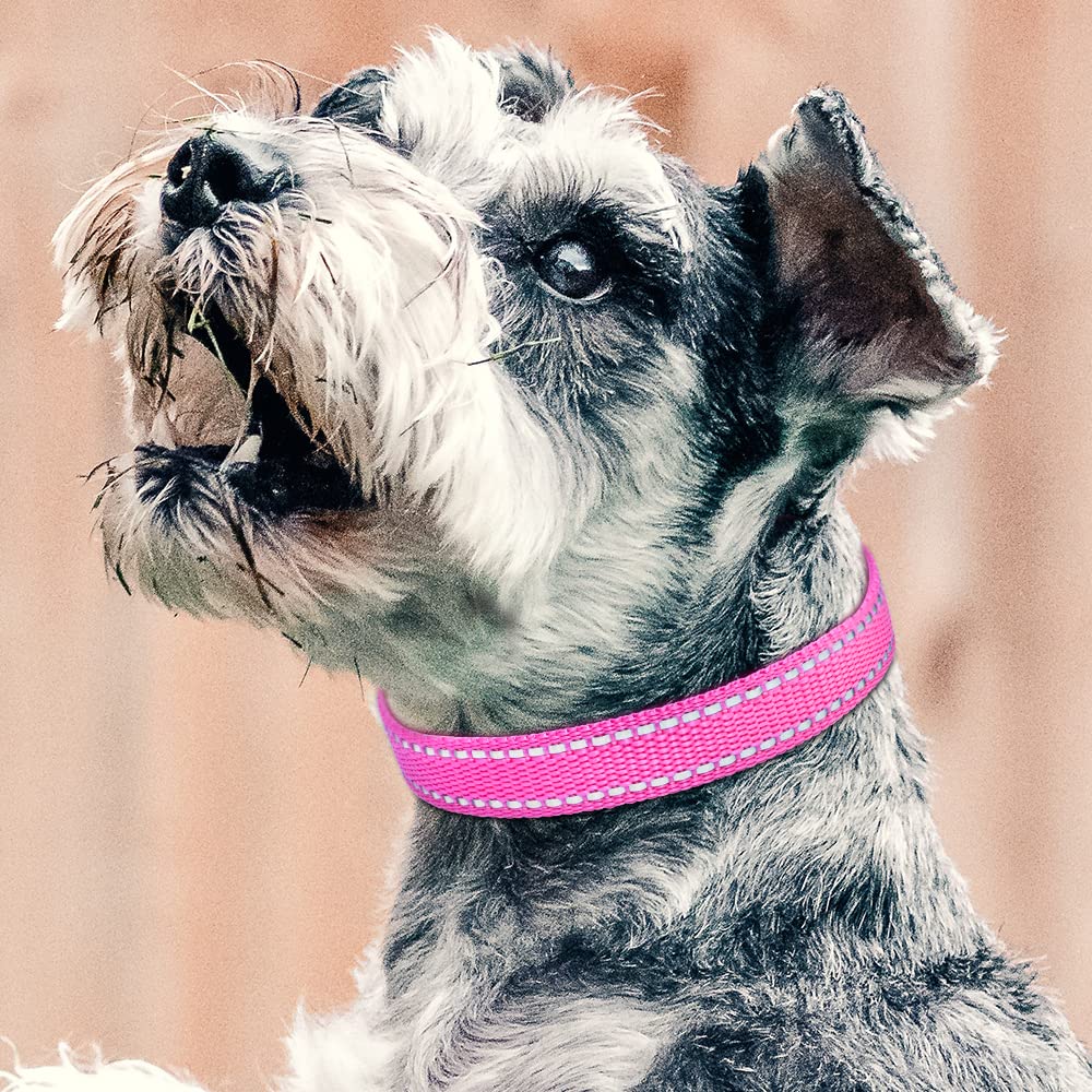 Petjoy Shock Collar Replacement Collar Strap, Reflective Dog Collar, Strong, Durable & Adjustable Dog Collar, 2 Piece Collar For