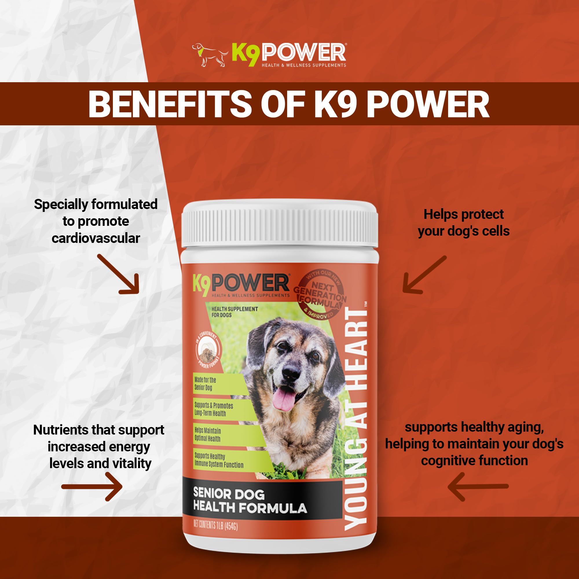 K9 Power Young at Heart Senior Dog Multivitamin 1 lb - Advanced Supplement for Seniors - Supports Brain, Heart, Vision, Joint He