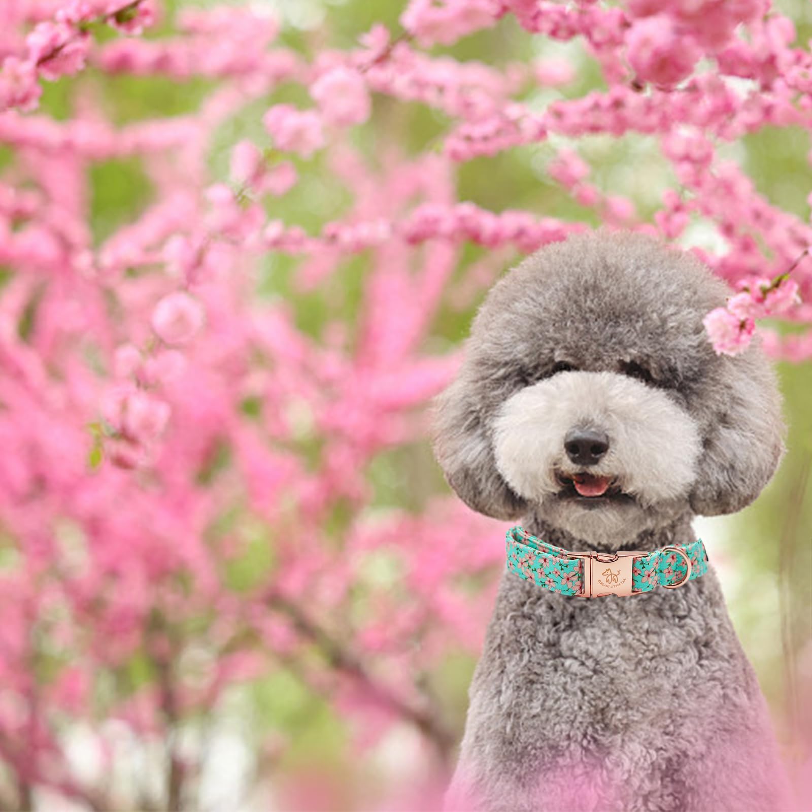 Elegant Pink Floral Print Summer Dog Collar - Cotton, Durable, Metal Buckle For Large Dogs