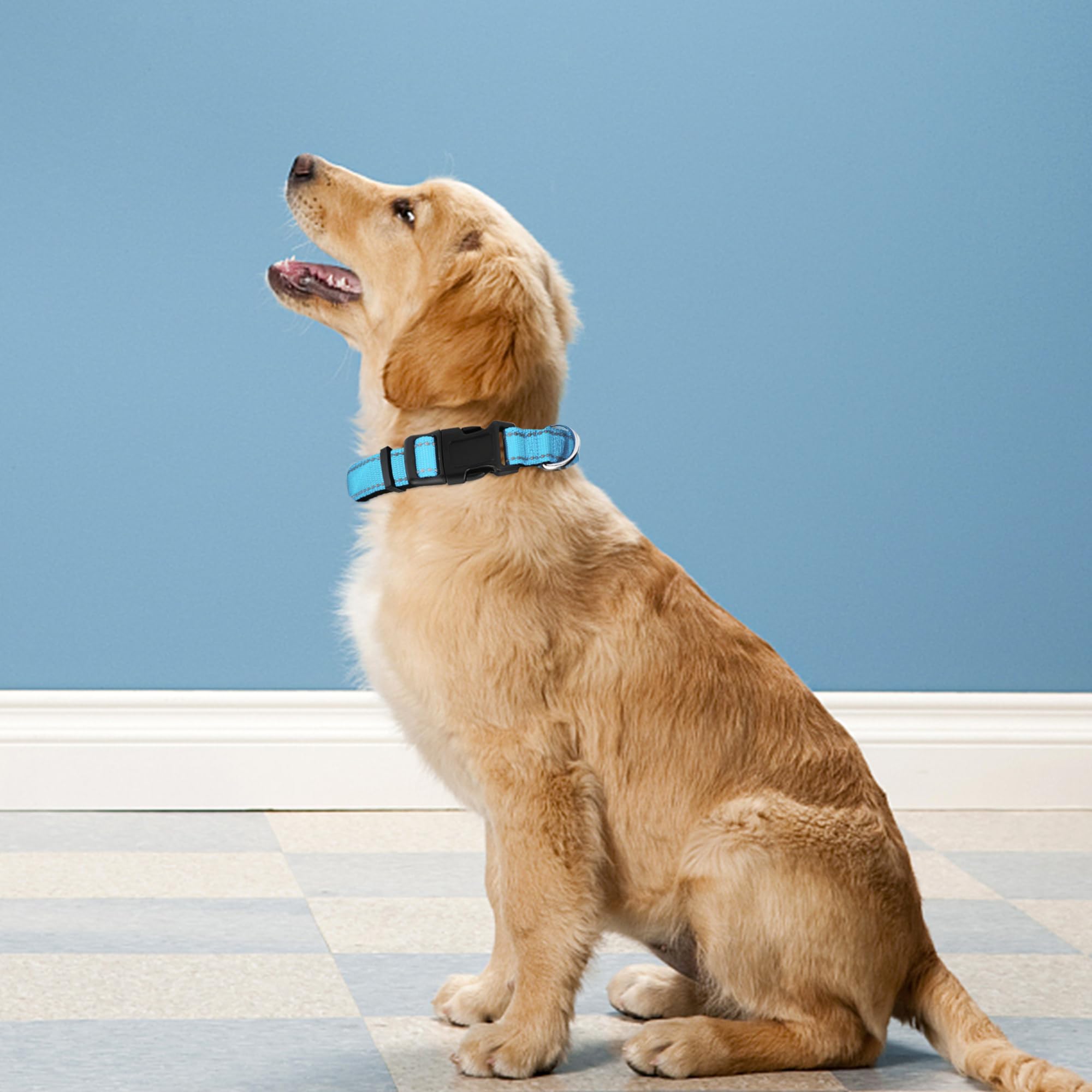 Pwod Reflective Dog Collar, Adjustable Soft Neoprene Padded Nylon Pet Collars With Buckle For Small Dogs, Sky Blue,S