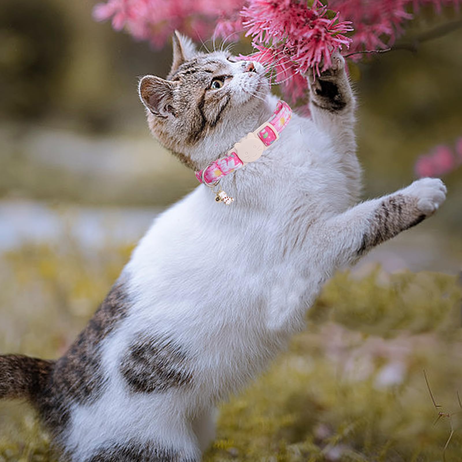 Elegant Little Tail 2 Pack Cat Collar-Pink Floral Print Cotton Breakaway Cat Collars With Bell Pendant Kitten Safety Adjustable