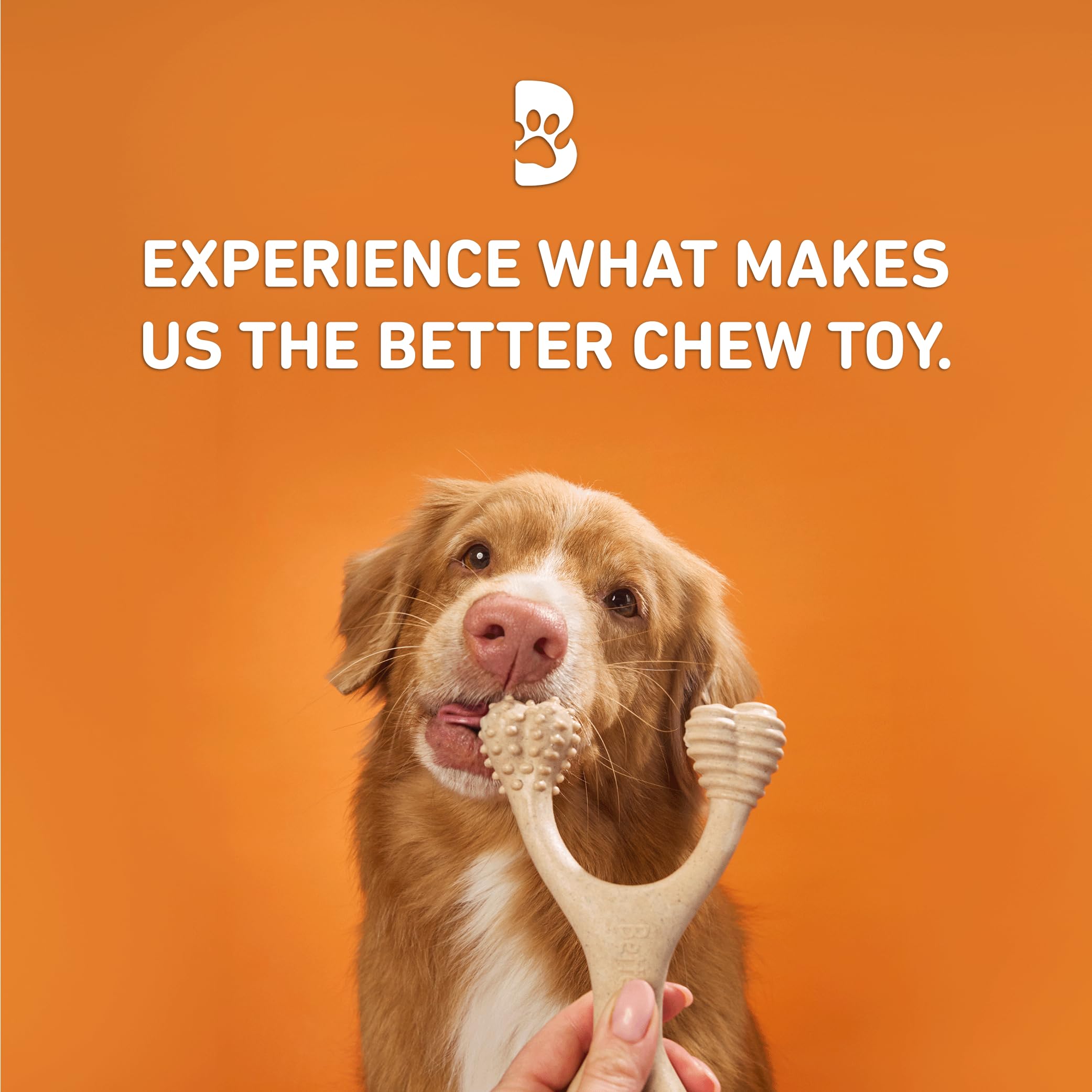 BetterBone - All-Natural, Nylon-Free Dog Chew Toys - Hard Density - Ideal for Strong to Aggressive Chewers - Non-Toxic, Promotes