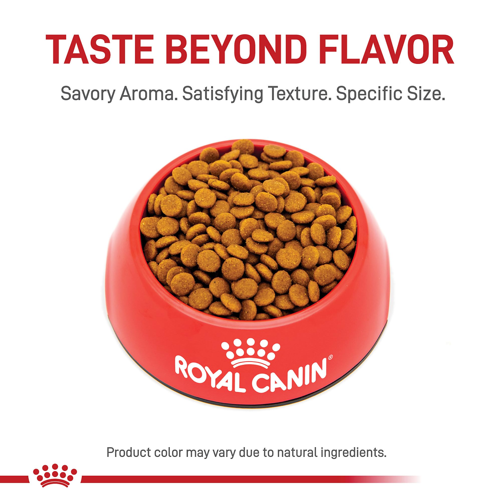 Royal Canin Hair & Skin Care Dry Cat Food, 6 lb bag