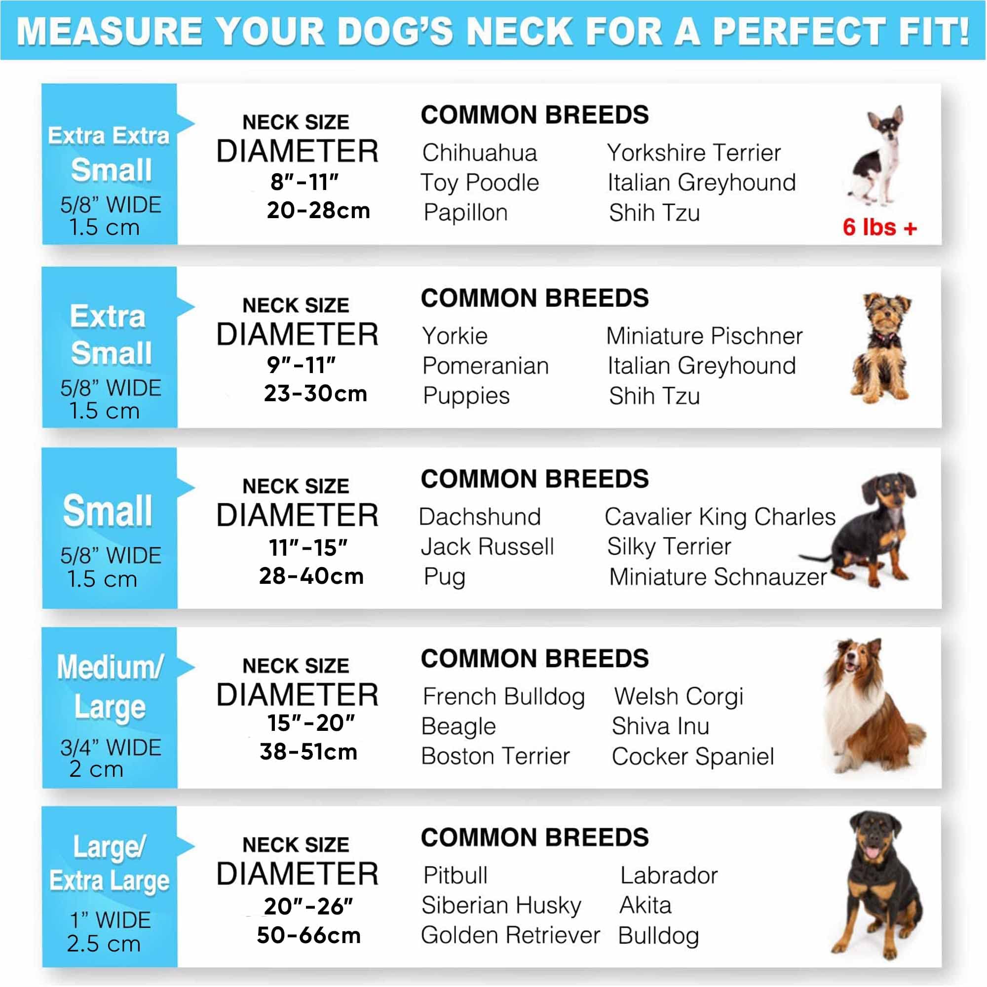 Pawtitas Lumberjack Padded Martingale Collar For Dogs | Soft Neoprene Dog Collar For Your Pet'S Comfort Made With Reflective Band For Maximum Visibility | Fits Small And Large Pets - Xs Red