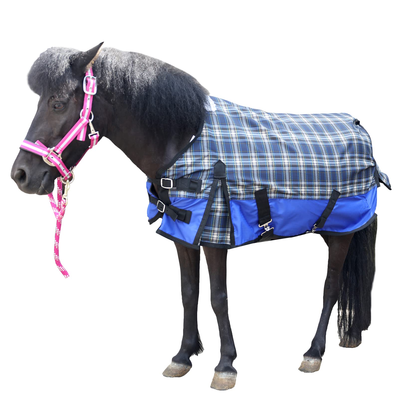 600 Denier Ripstop Poly Waterproof Miniature Horse Sheet, 0G Fill Light Weight Mini Horse Turnout Rain Sheet Blueplaid 36
