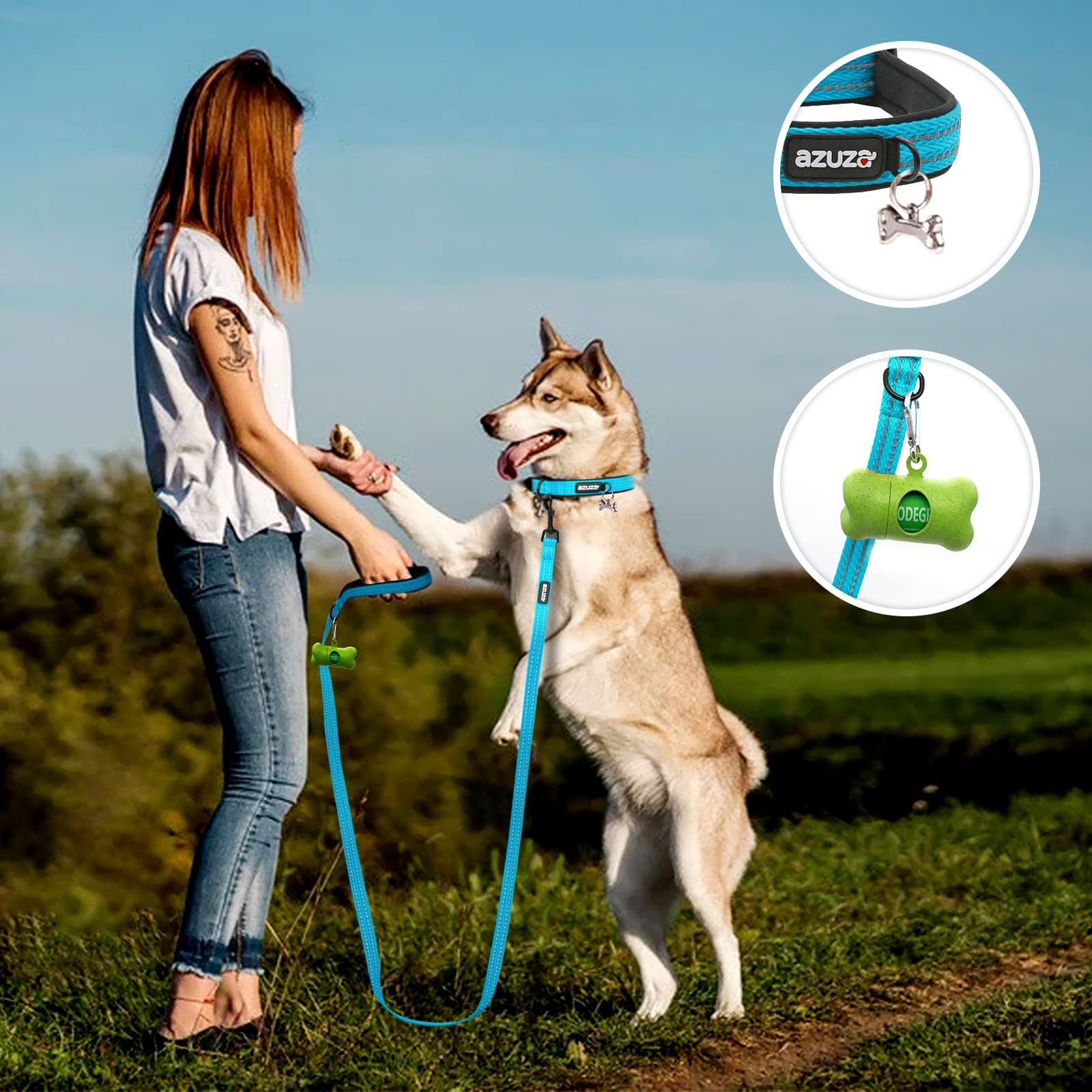 Azuza Reflective Dog Collar, Soft Neoprene Padded Pet Collar With Id Tag Ring, Adjustable For Small Dogs,Vitality Blue,S