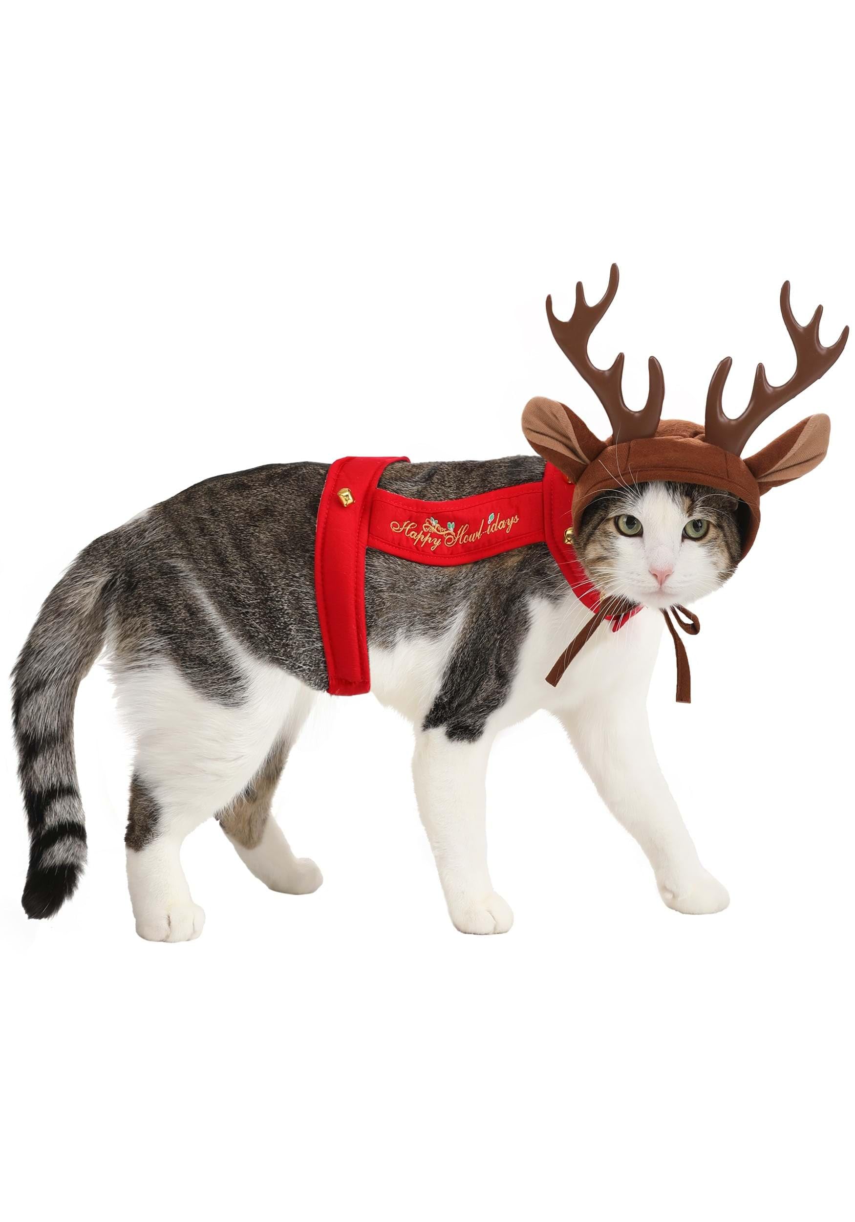 California Costumes Dog Reindeer Costume, Large