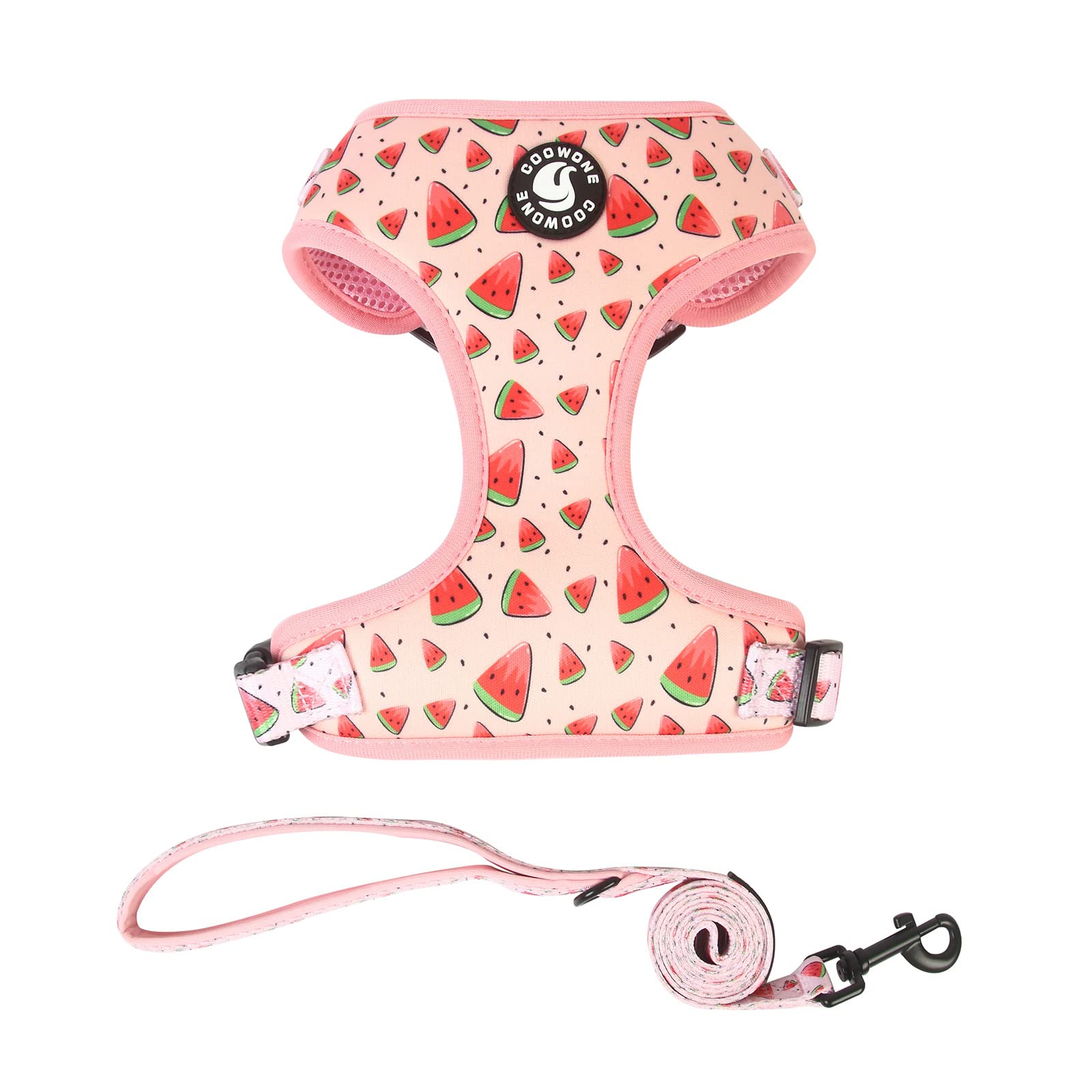 Coowone Dog Harness And Leash Set, Adjustable Puppy Harness And Soft Padded Dog Vest Harness For Small Medium Large Dogs