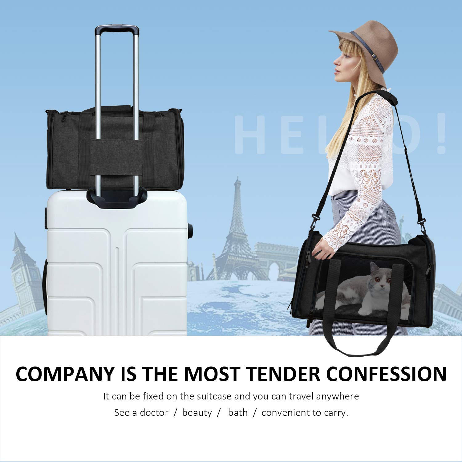 Henkelion Large Cat Carriers Dog Carrier Pet Carrier For Large Cats Puppies Up To 25Lbs, Big Dog Carrier Soft Sided, Collapsible Waterproof Travel - Large - Black