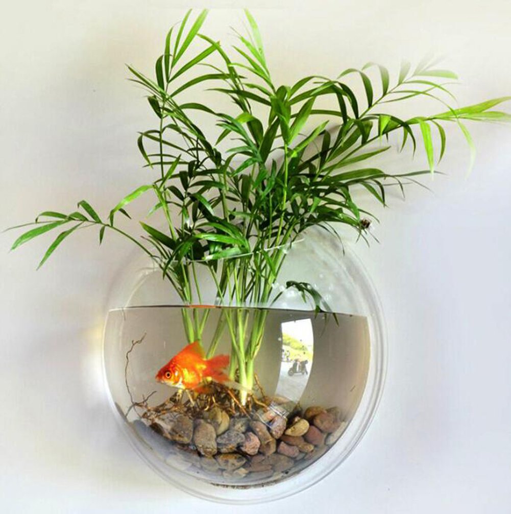 Sweetsea Hanging Wall Mounted Fish Bowl Betta Tank Aquarium Wall Decor Plant Fish Bubble - Clear (Medium)